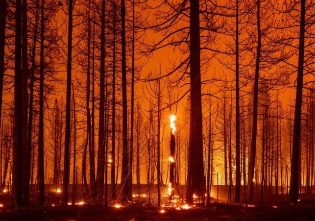 Times of London News -  International News, Latest News, Breaking News,Sports, Business and Political News 