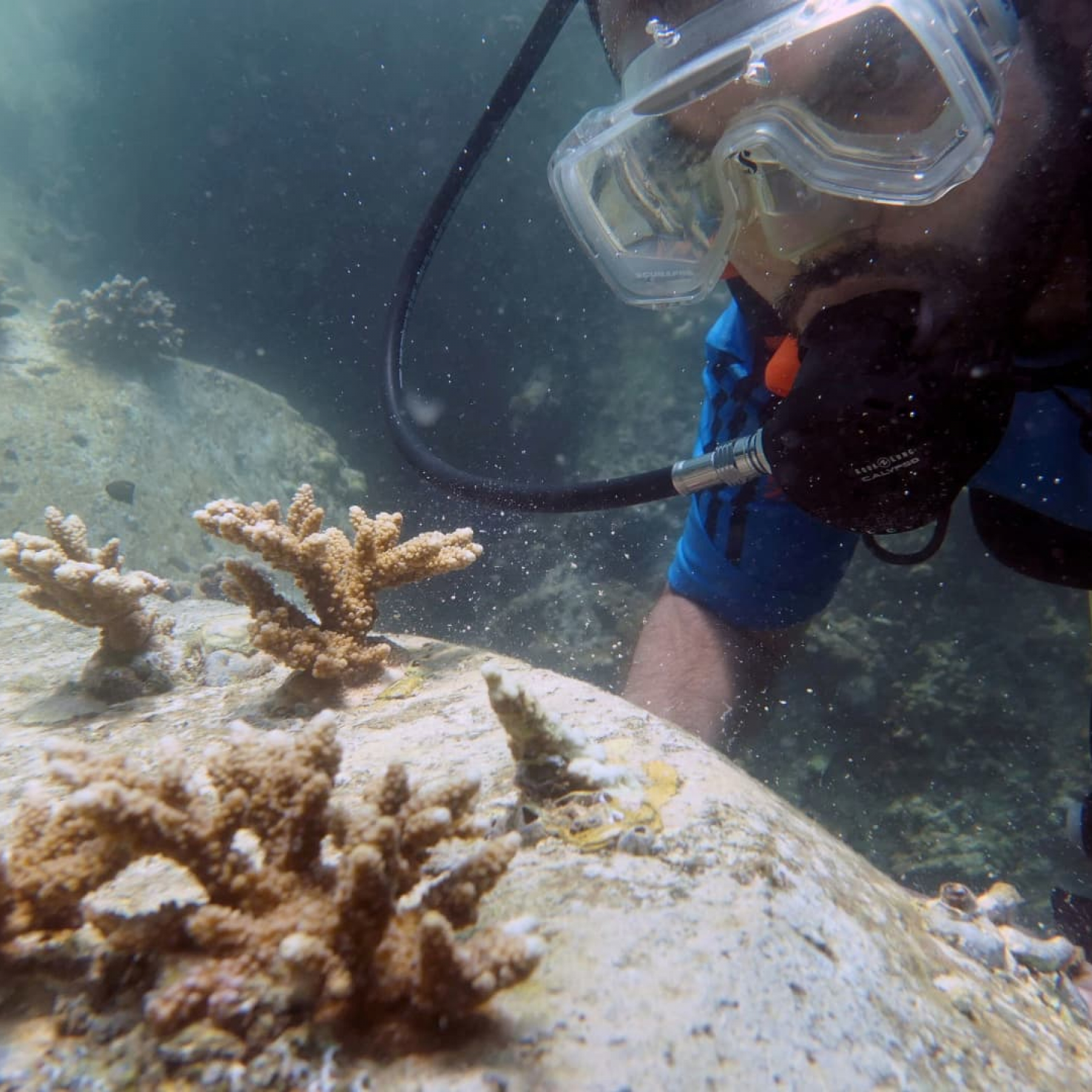 Earths oceans have reached the hottest and most acidic levels on record UN says