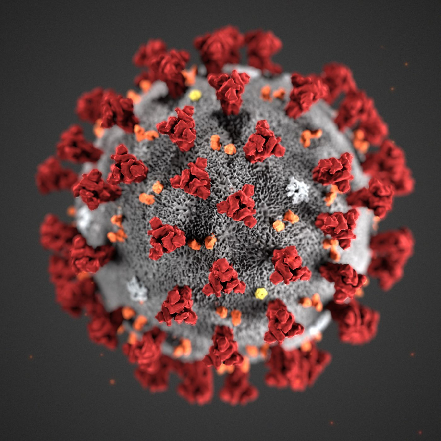 Research finds airborne transmission likely cause of MIQ Covid-19 spread