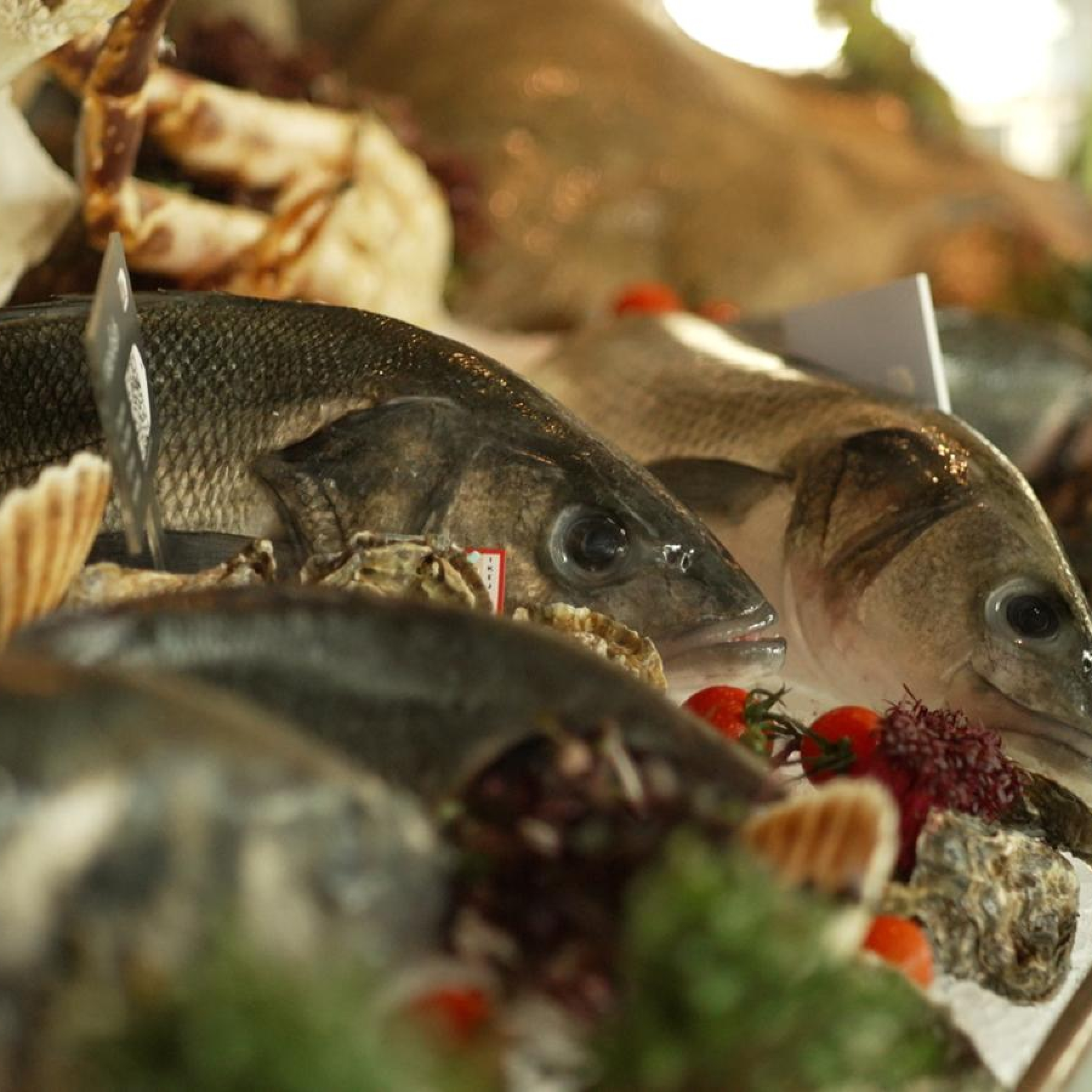 This Dubai restaurant is using tech to stop seafood fraud