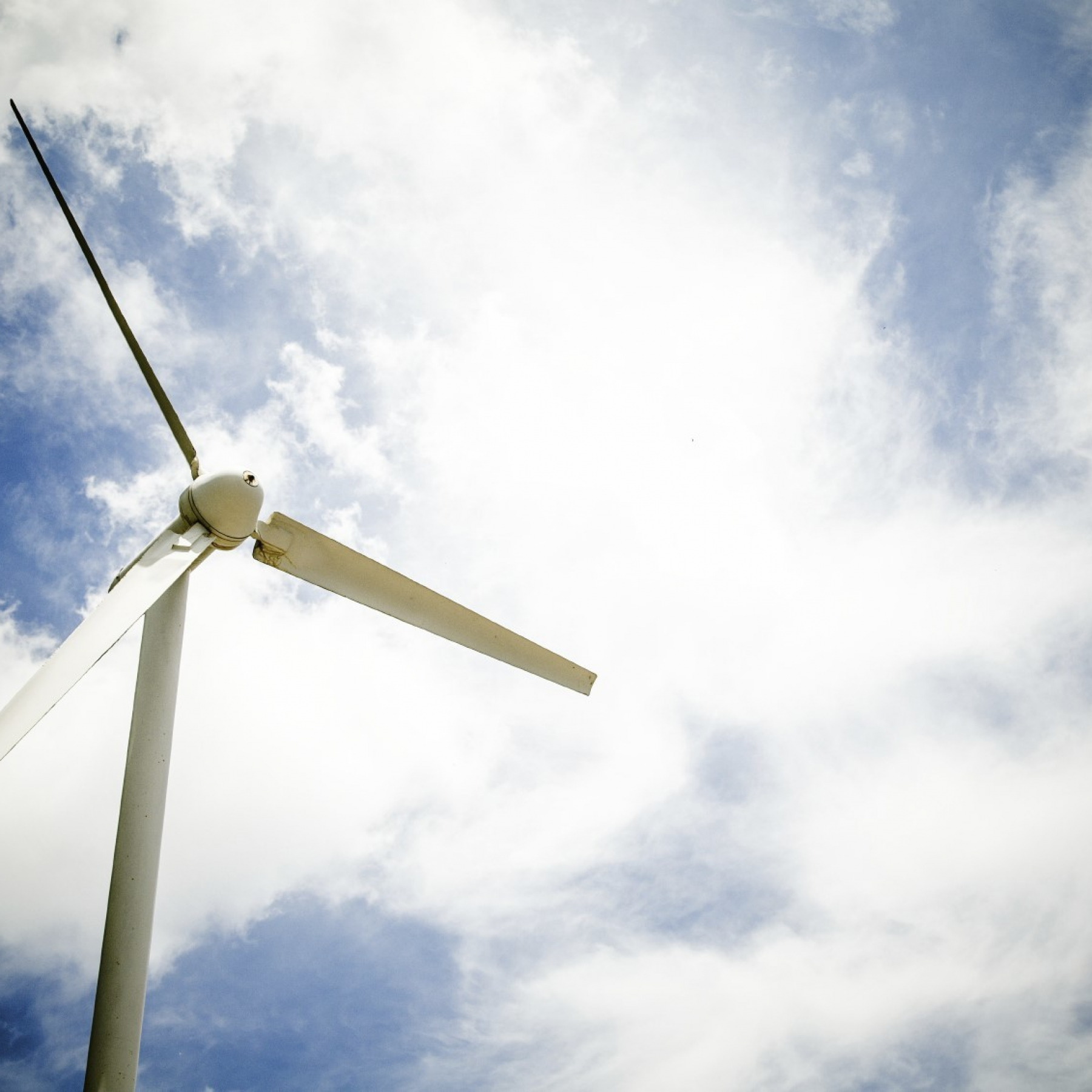 Western Power Distribution makes bold net zero pledge