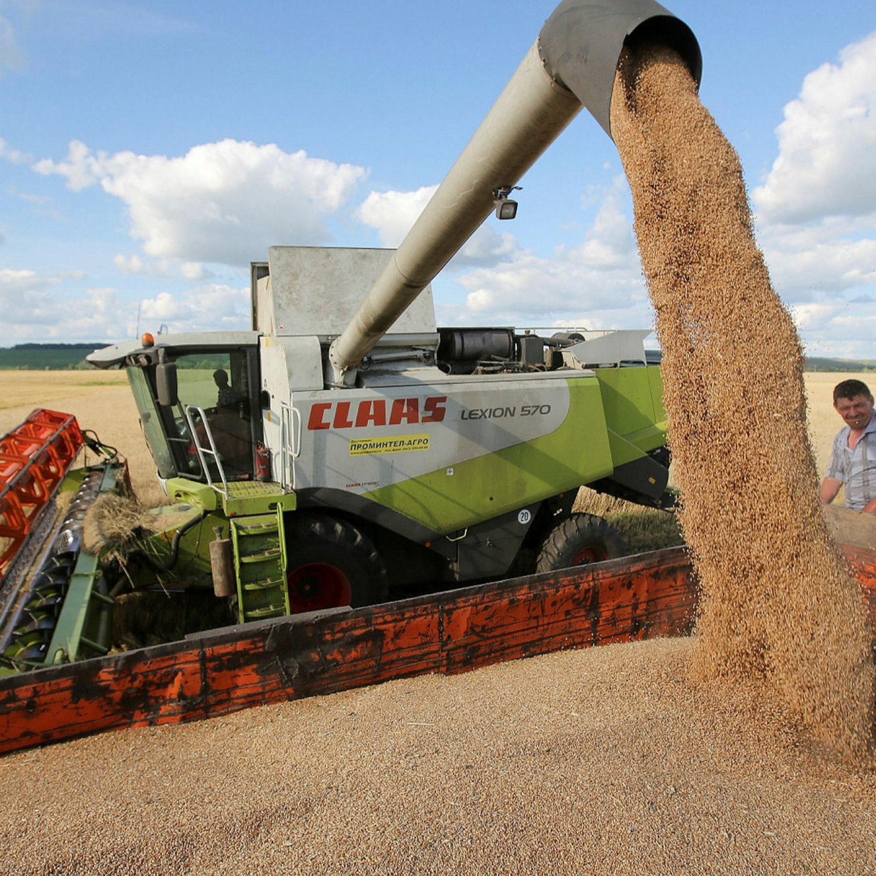 Ukraine war catastrophic for global food