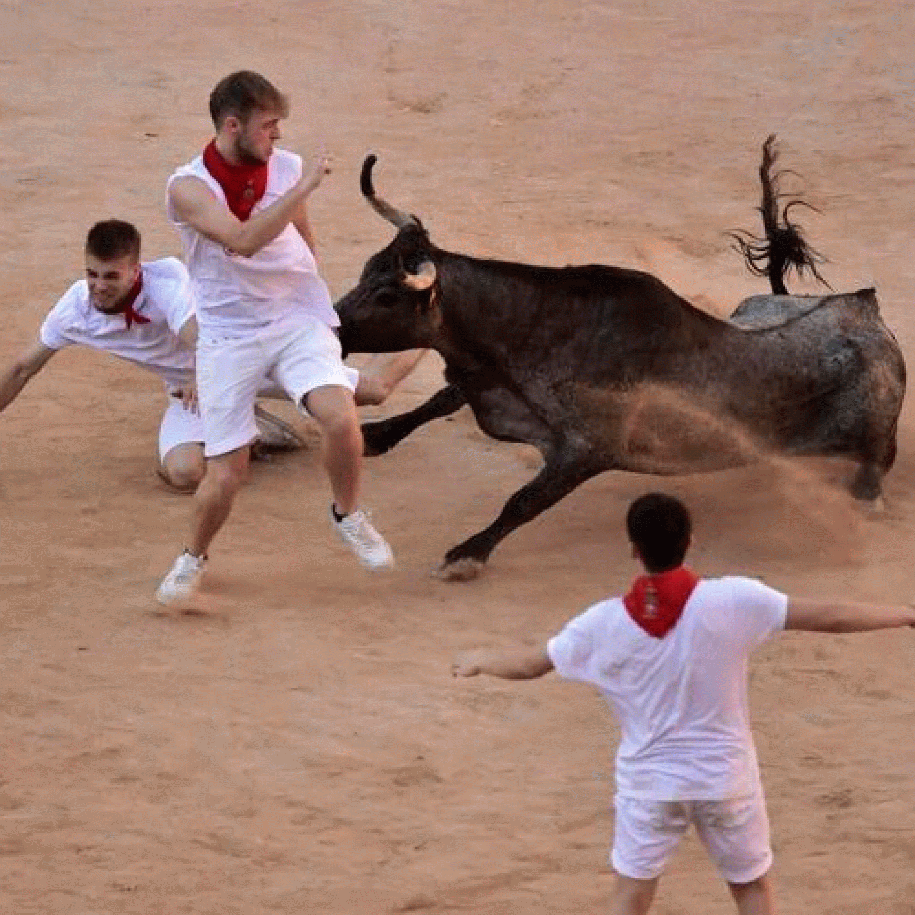 Spains running of the bulls: 6 hurt no gorings in Pamplona