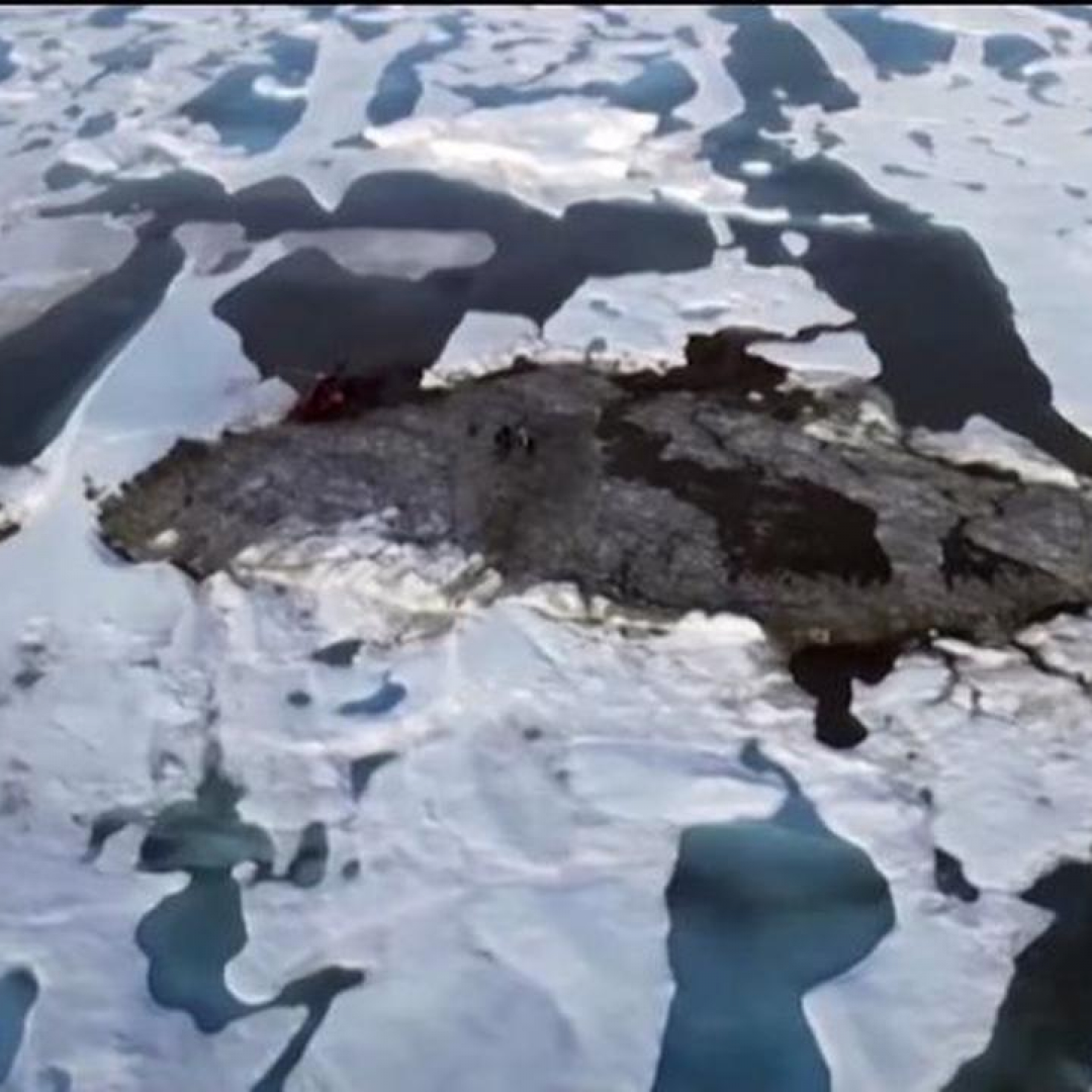Greenland island is worlds northernmost island - scientists