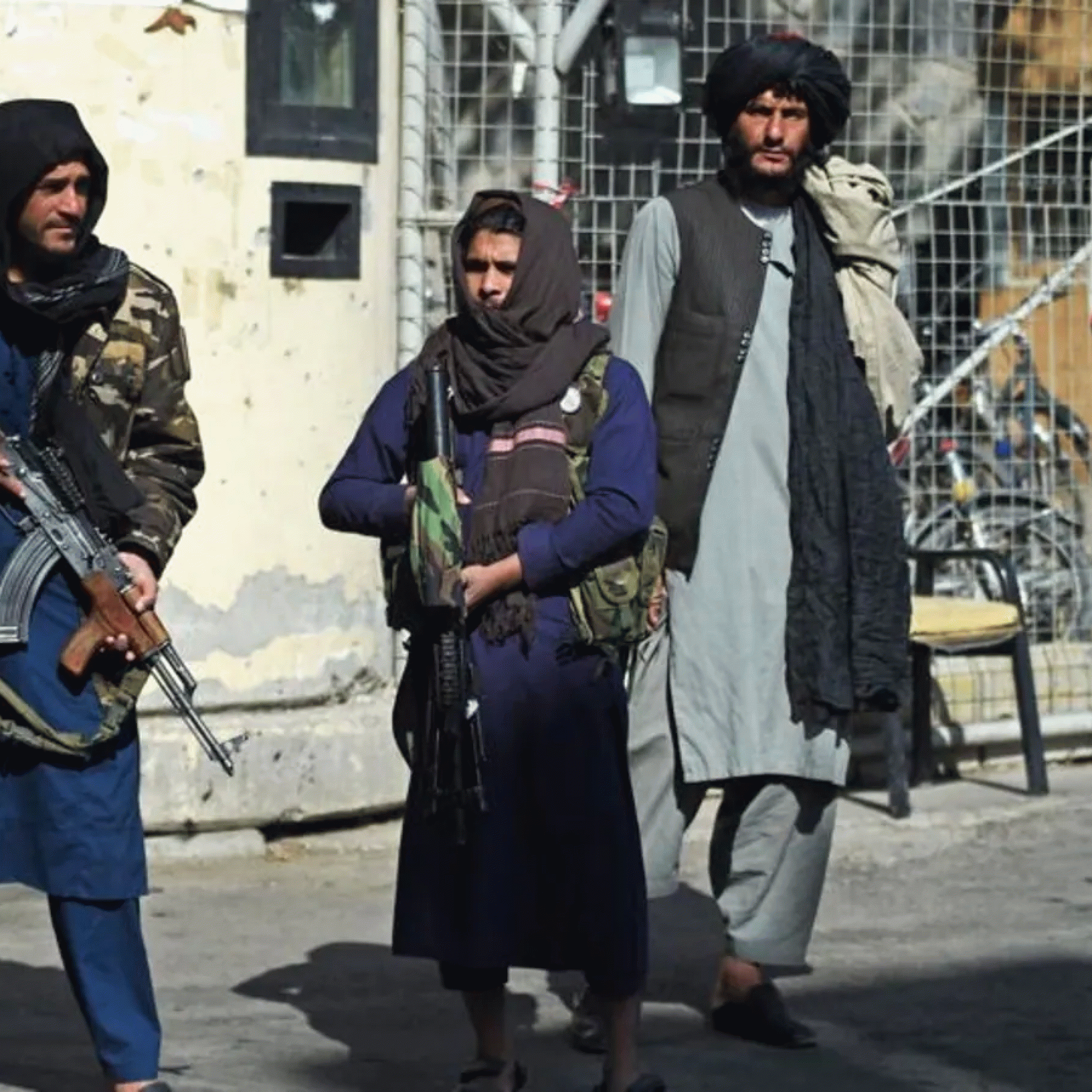 Afghanistan Googles most searched word in 2021 crypto and meme stocks follow