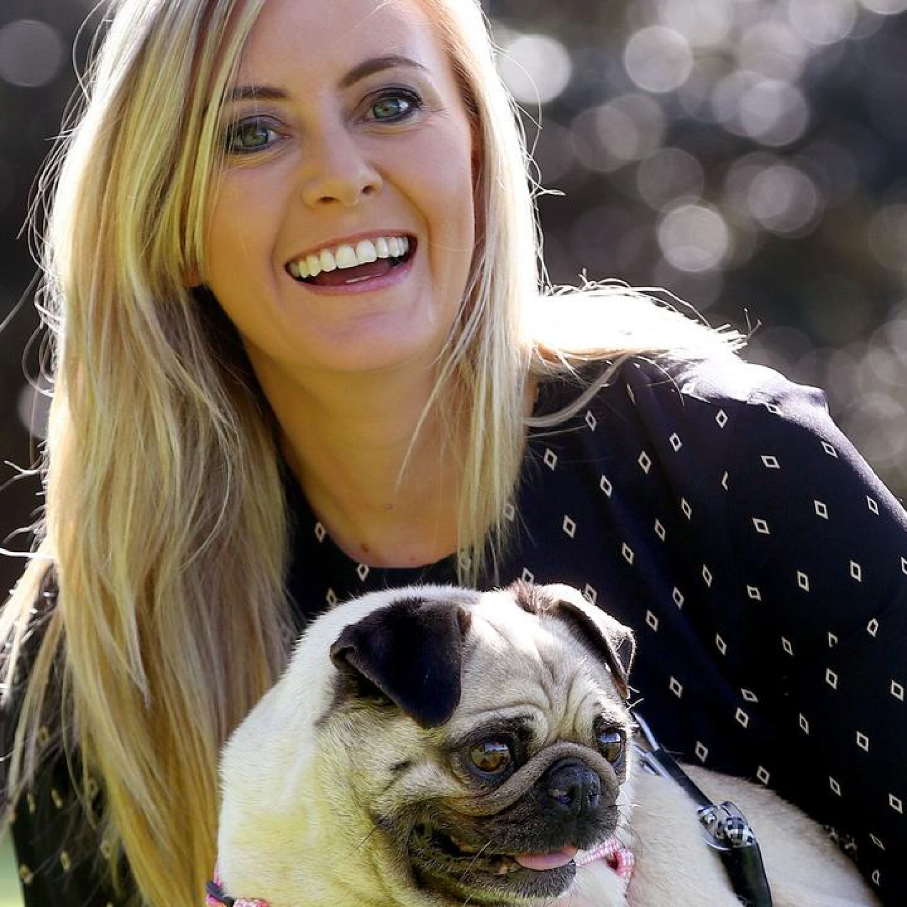 Animal Justice Party bans bestiality material in NSW
