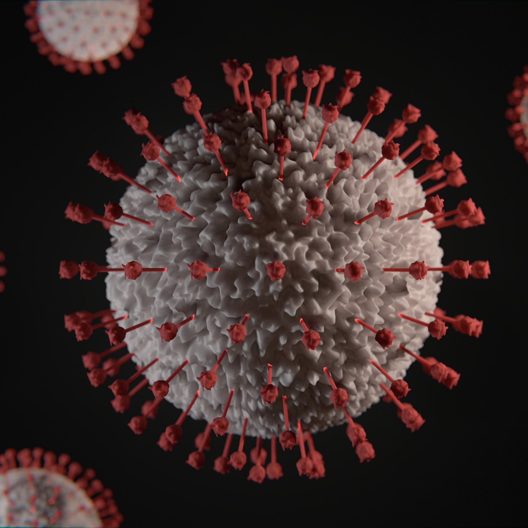 As Europe begins to live with the coronavirus could the US follow
