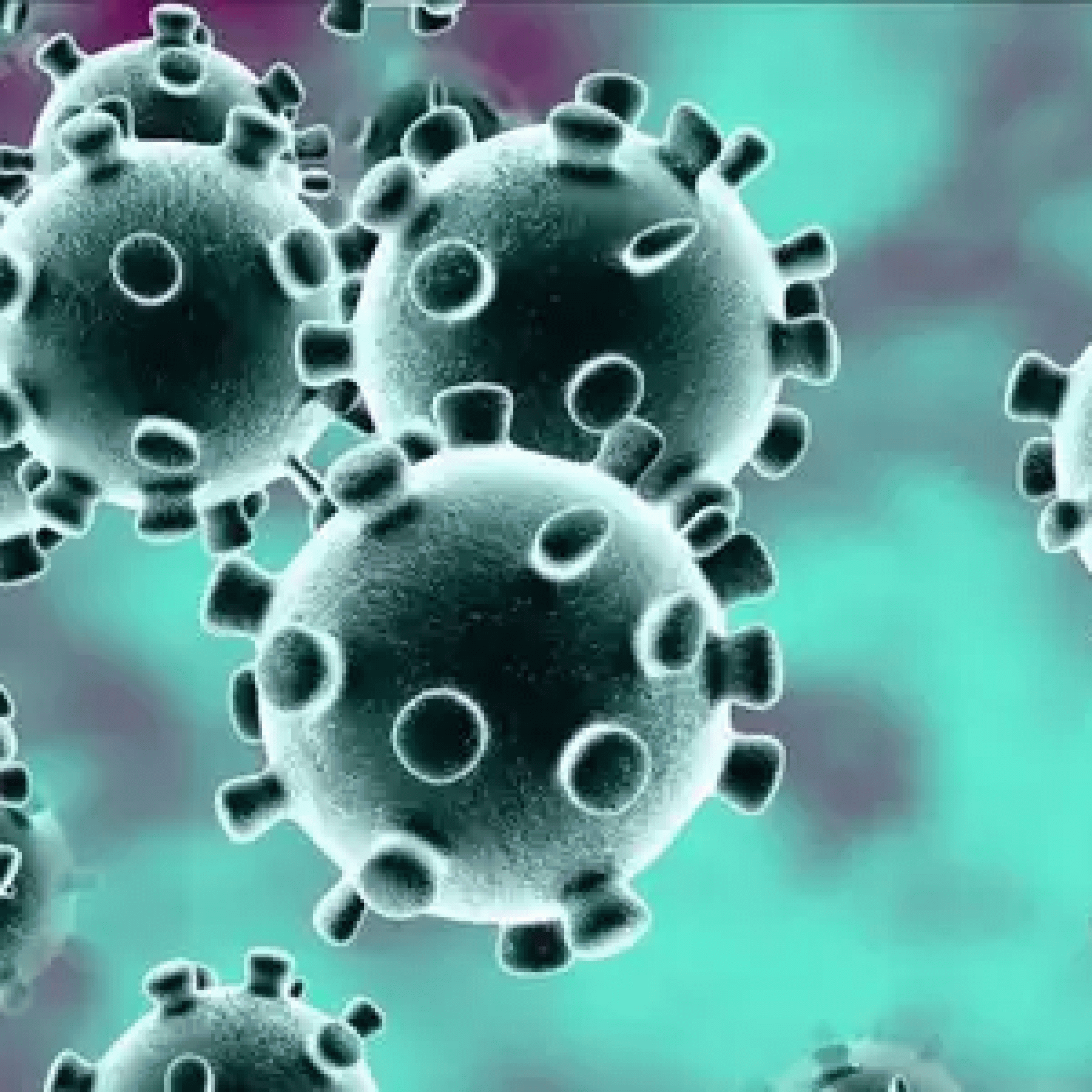Covid-19 not developed as biological weapon says US intelligence community