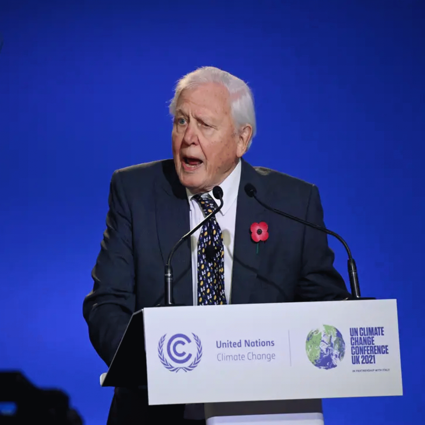 Sir David Attenborough named Champion of the Earth by UN