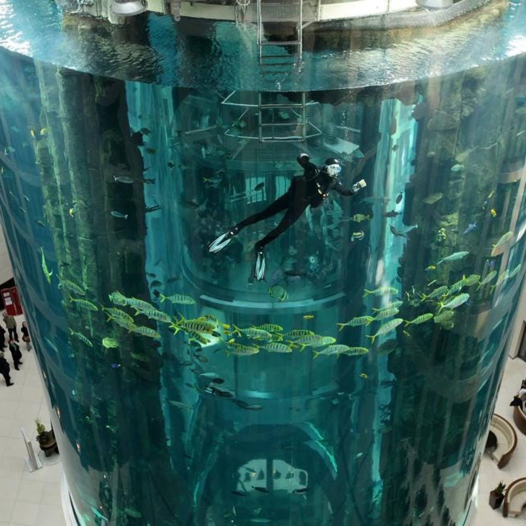 Berlin AquaDom aquarium