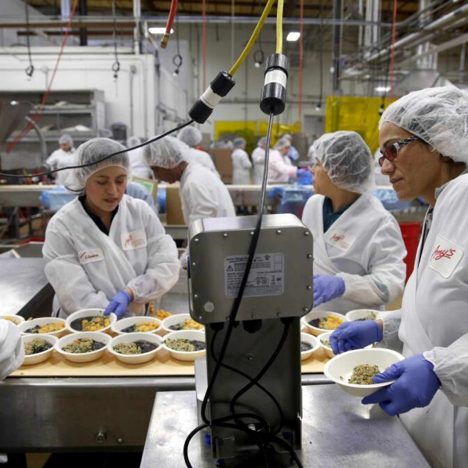 Amys Kitchen says its food is made with love. Some at the factory say the job has left them injured