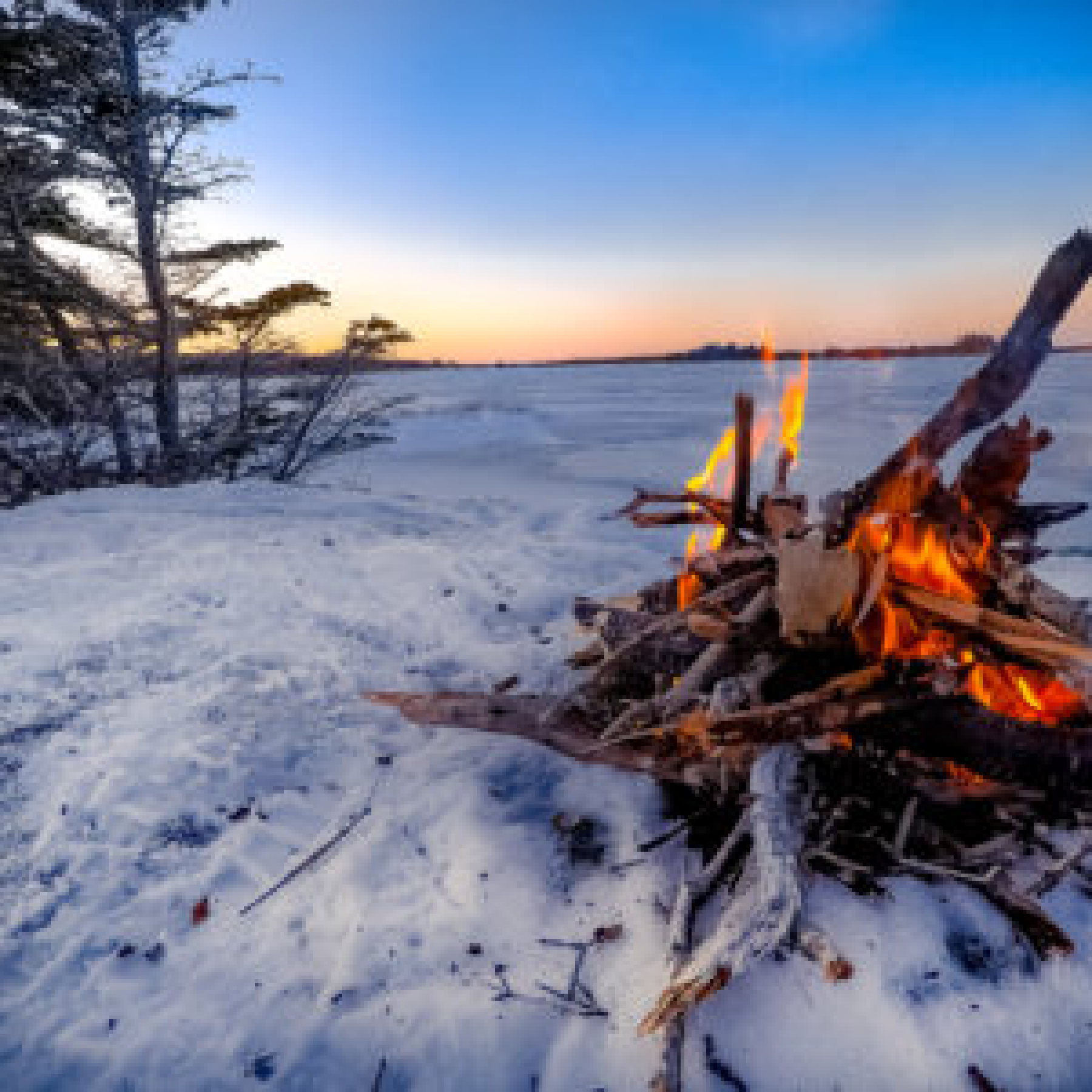 Conservatives and Public Health: A Warm Welcome Into a Cold Climate
