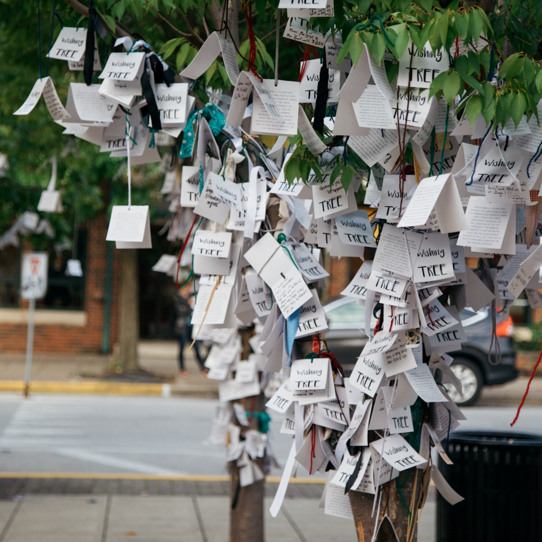California wishing tree decorated with handwritten messages of gratitude