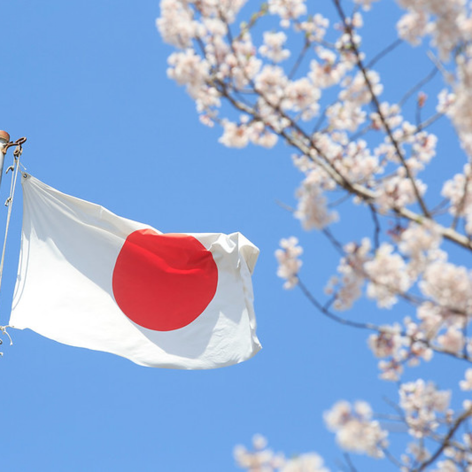 Outages disrupt services at Japans No. 2 telecoms carrier