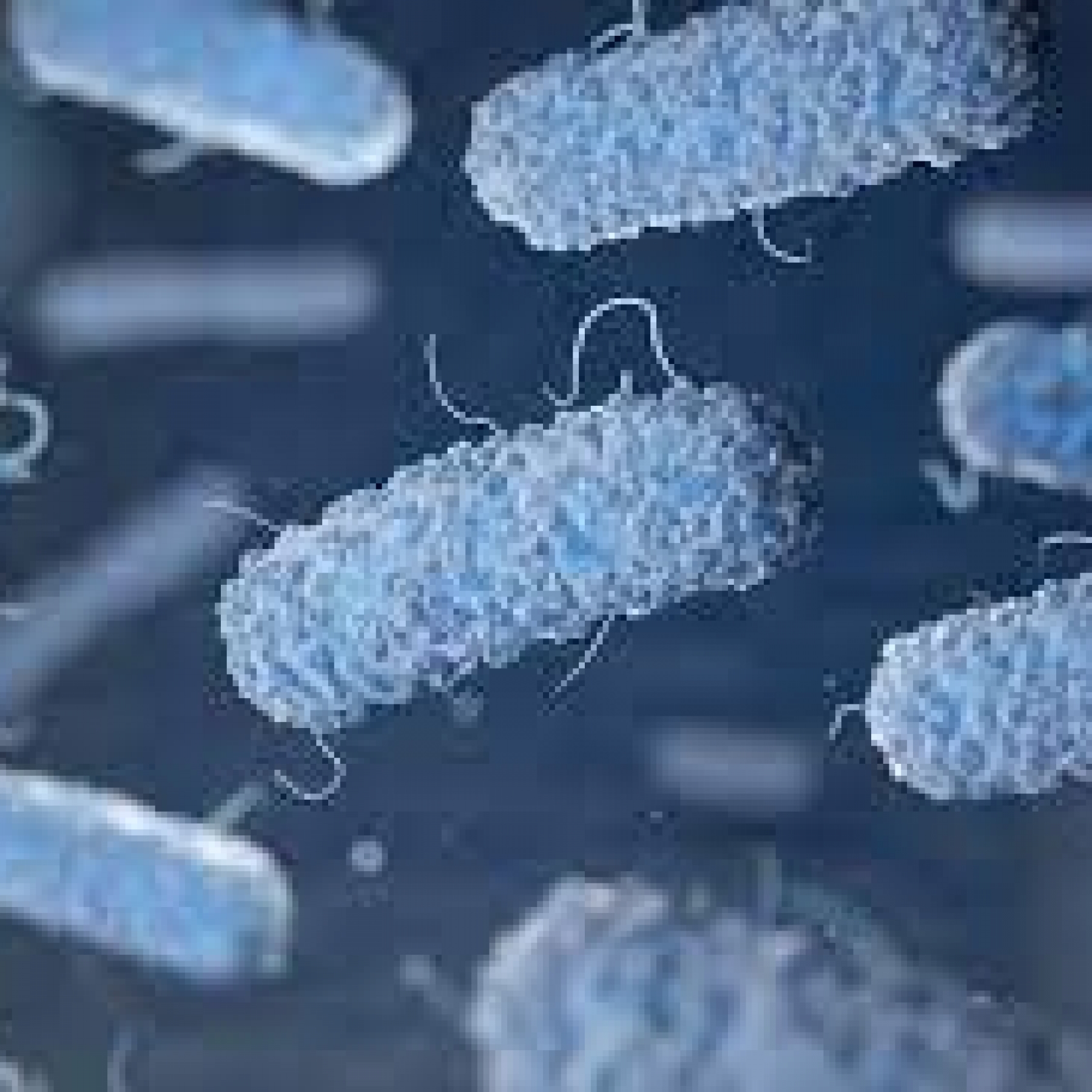 Listeria infection