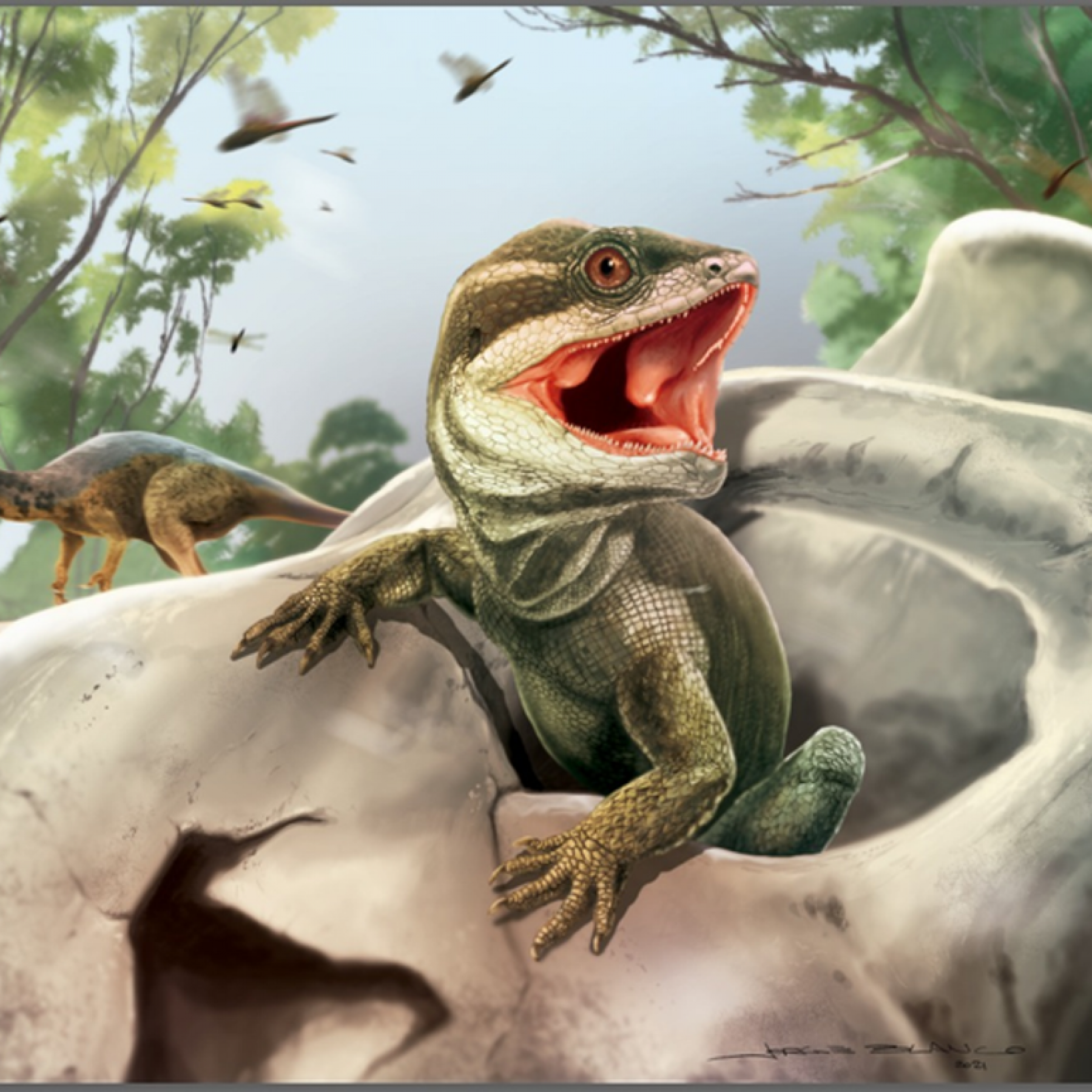 Scientists find fossil species that is ancient forerunner of most modern reptiles