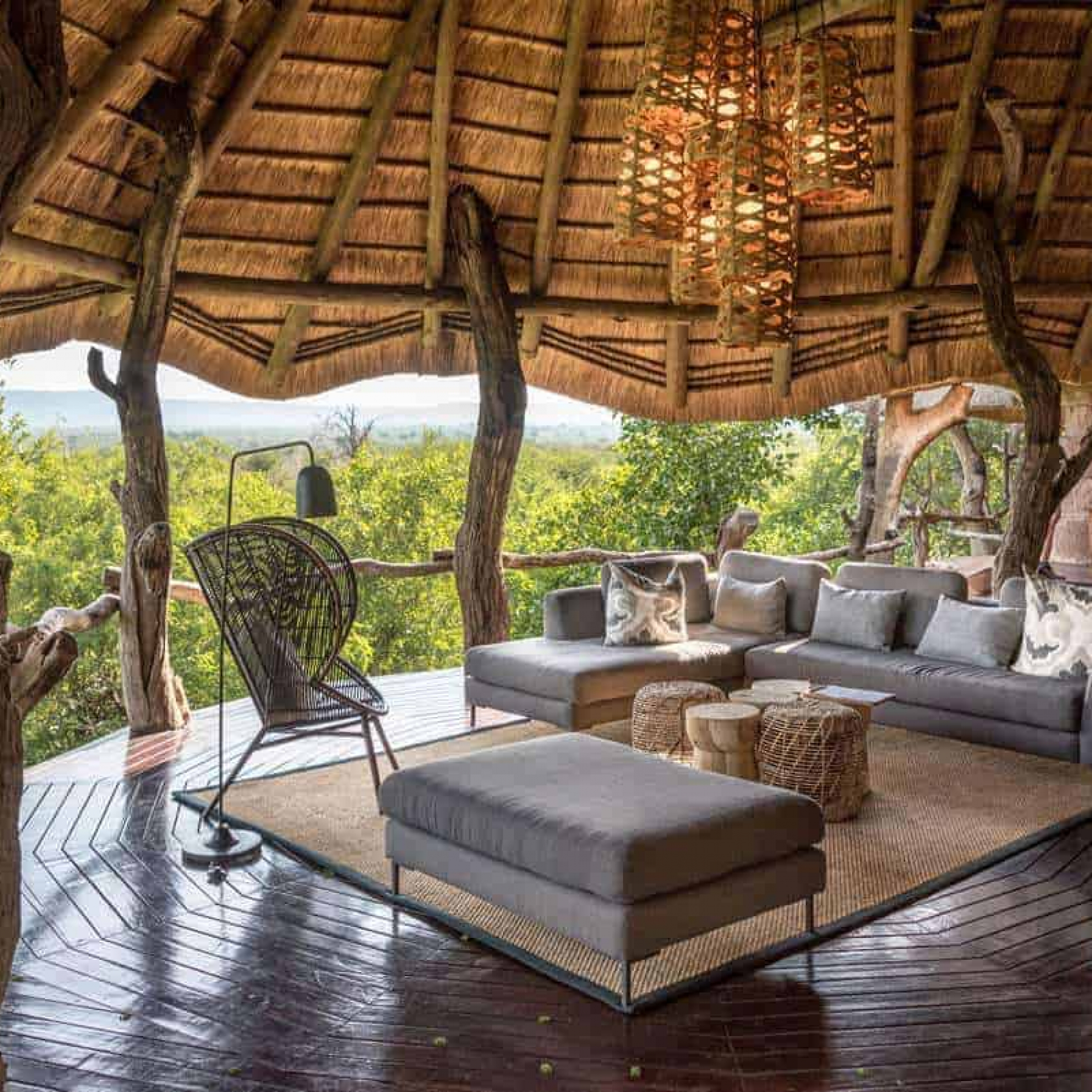 Omicron variant empties South African safari lodges