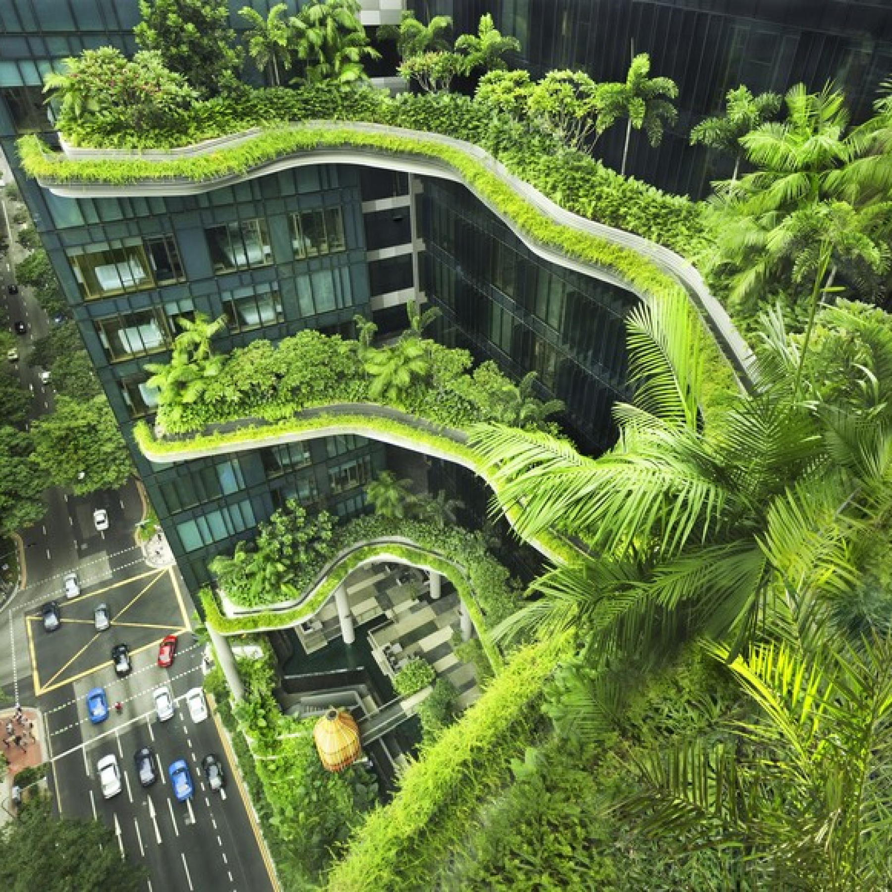 How Singapore is Pioneering the Way to Creating a Greener Urban Environment