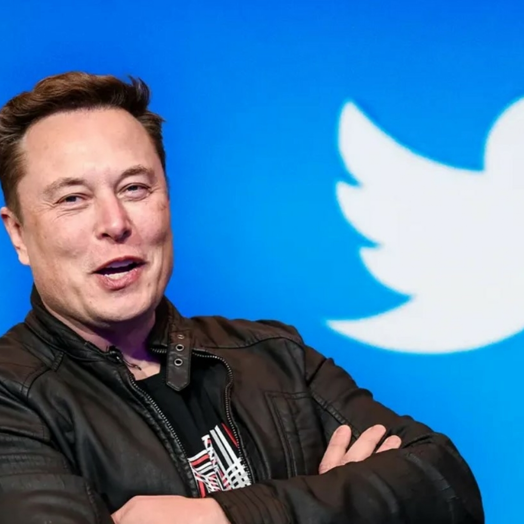 Elon Musk may take over as temporary CEO of Twitter