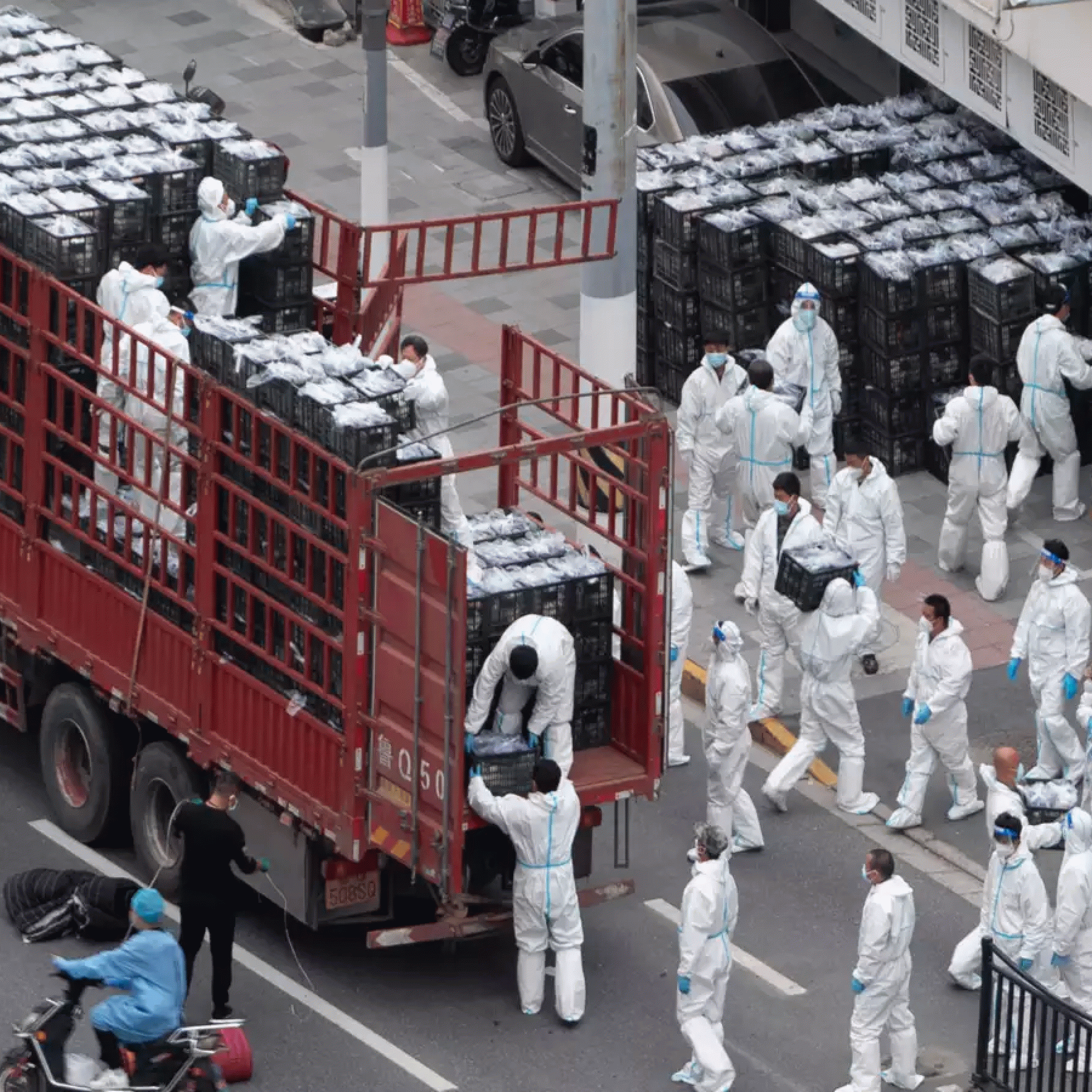 Shanghai In Race Against Time As City Sees Biggest Ever Covid Outbreak