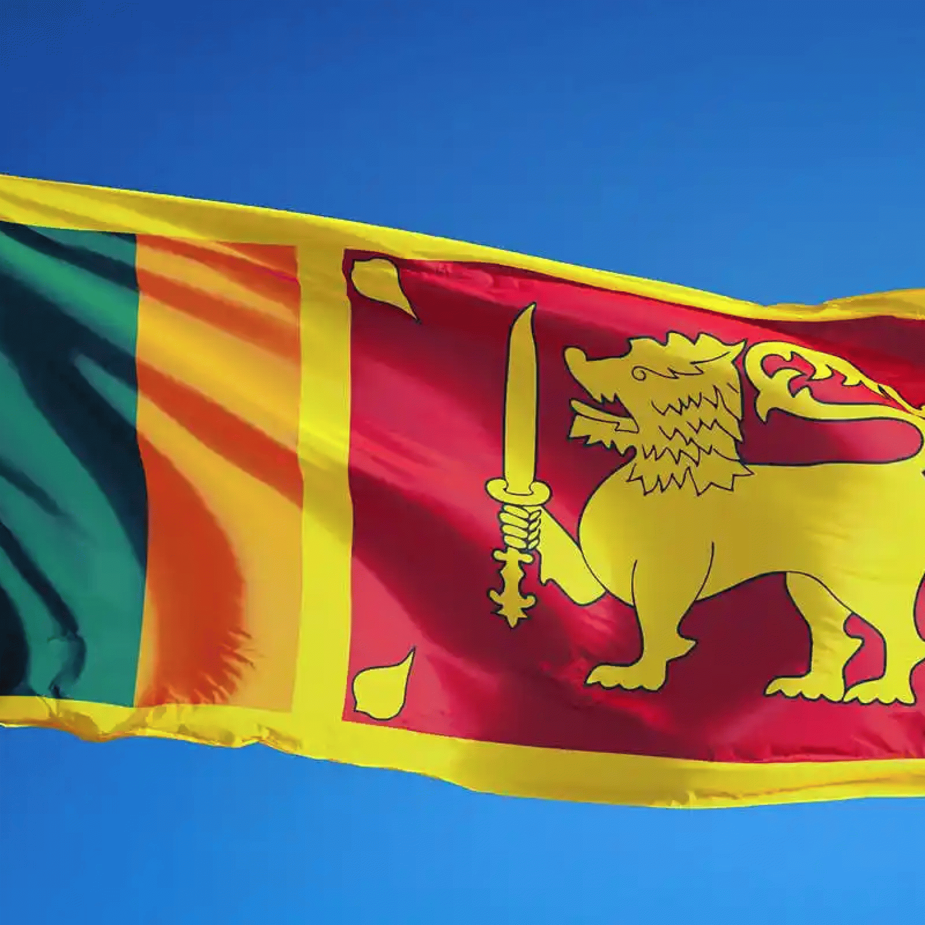 Sri Lanka is suspending payments on its foreign debt as its economic crisis worsens