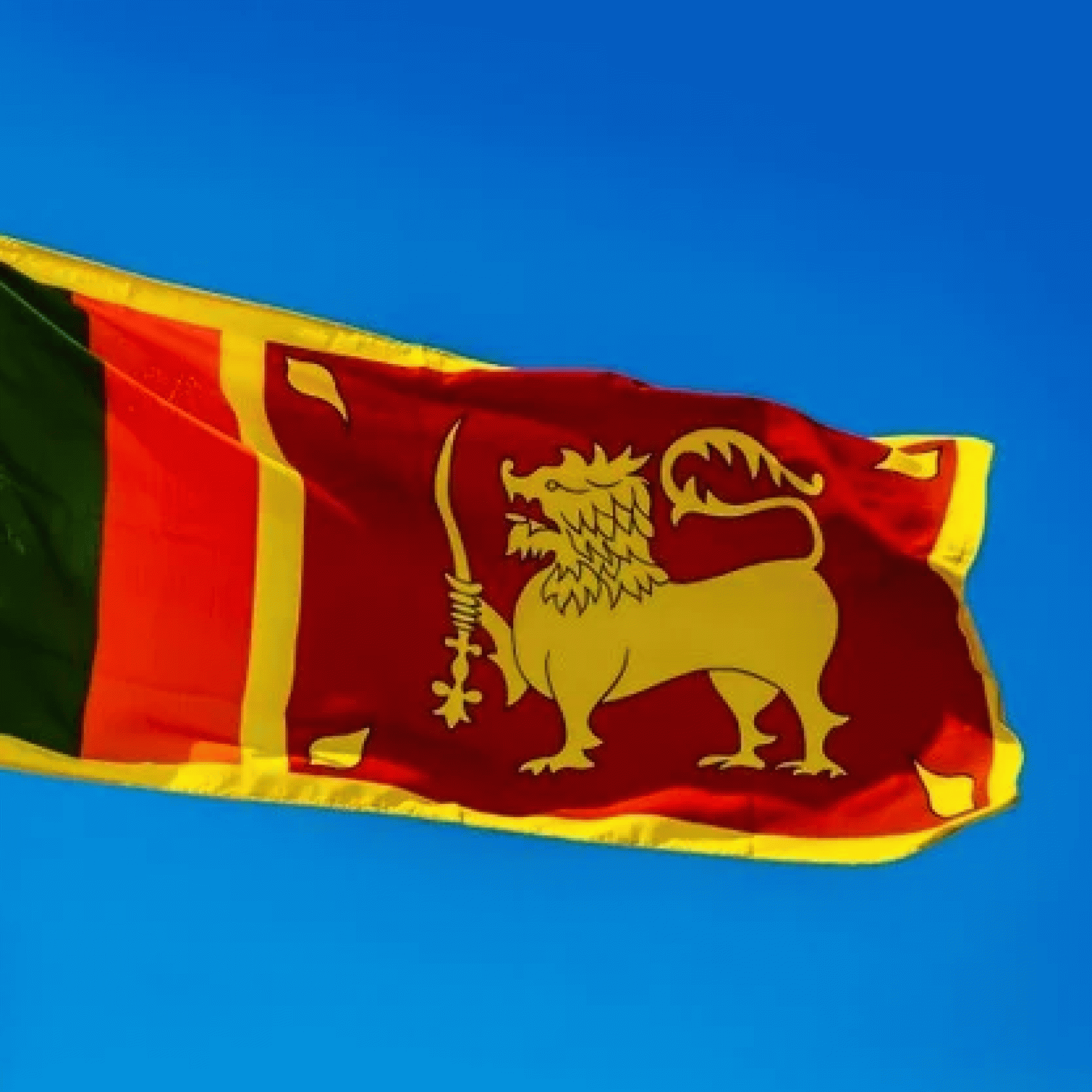 Sri Lanka asks IMF for urgent financial assistance