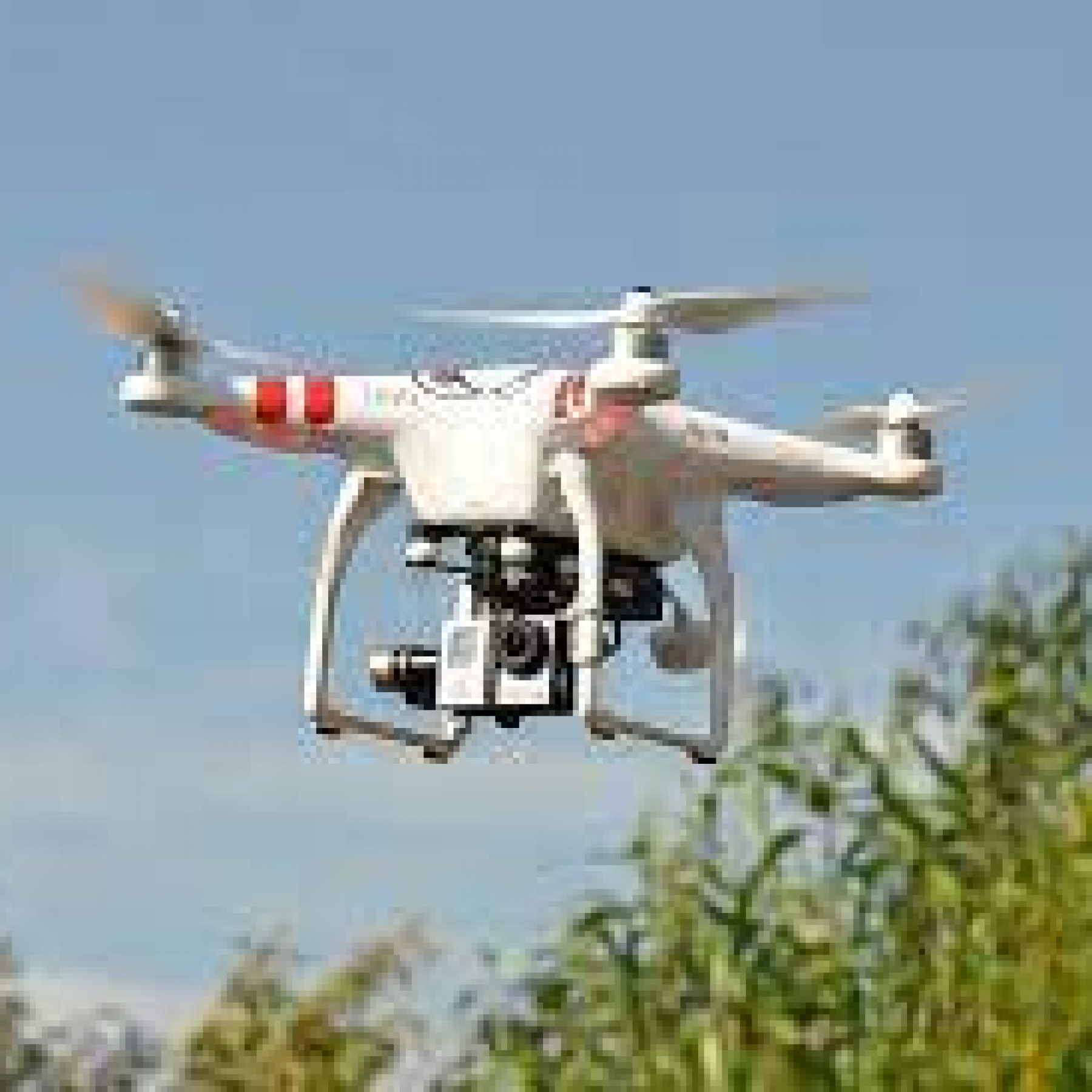 US-Based DroneSeed Raises Rs 266 Crore to Reforest Areas Affected by Wildfires
