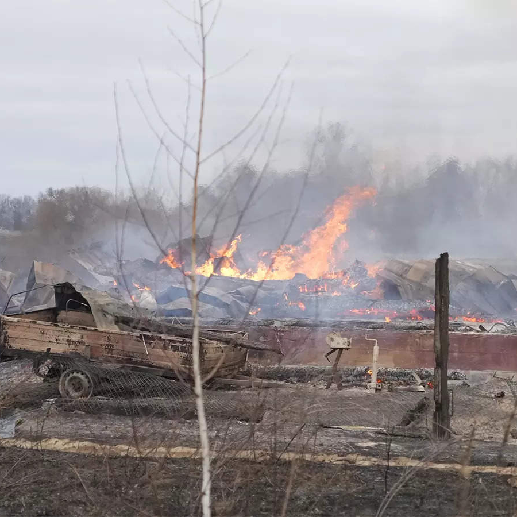 Russia-Ukraine crisis: Explosions heard in Kyiv official says enemy aircraft downed