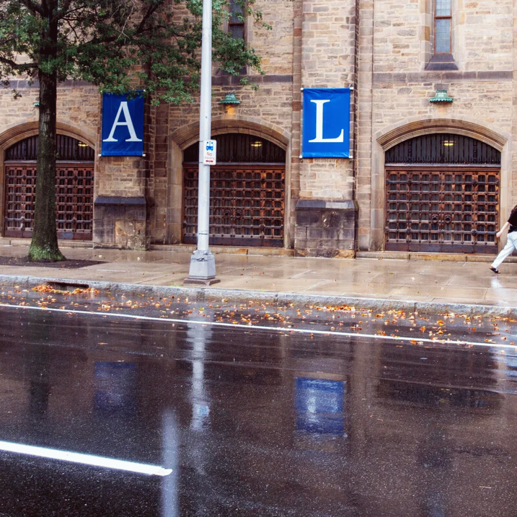 Yale strikes Sackler name from campus amid opioid outrage