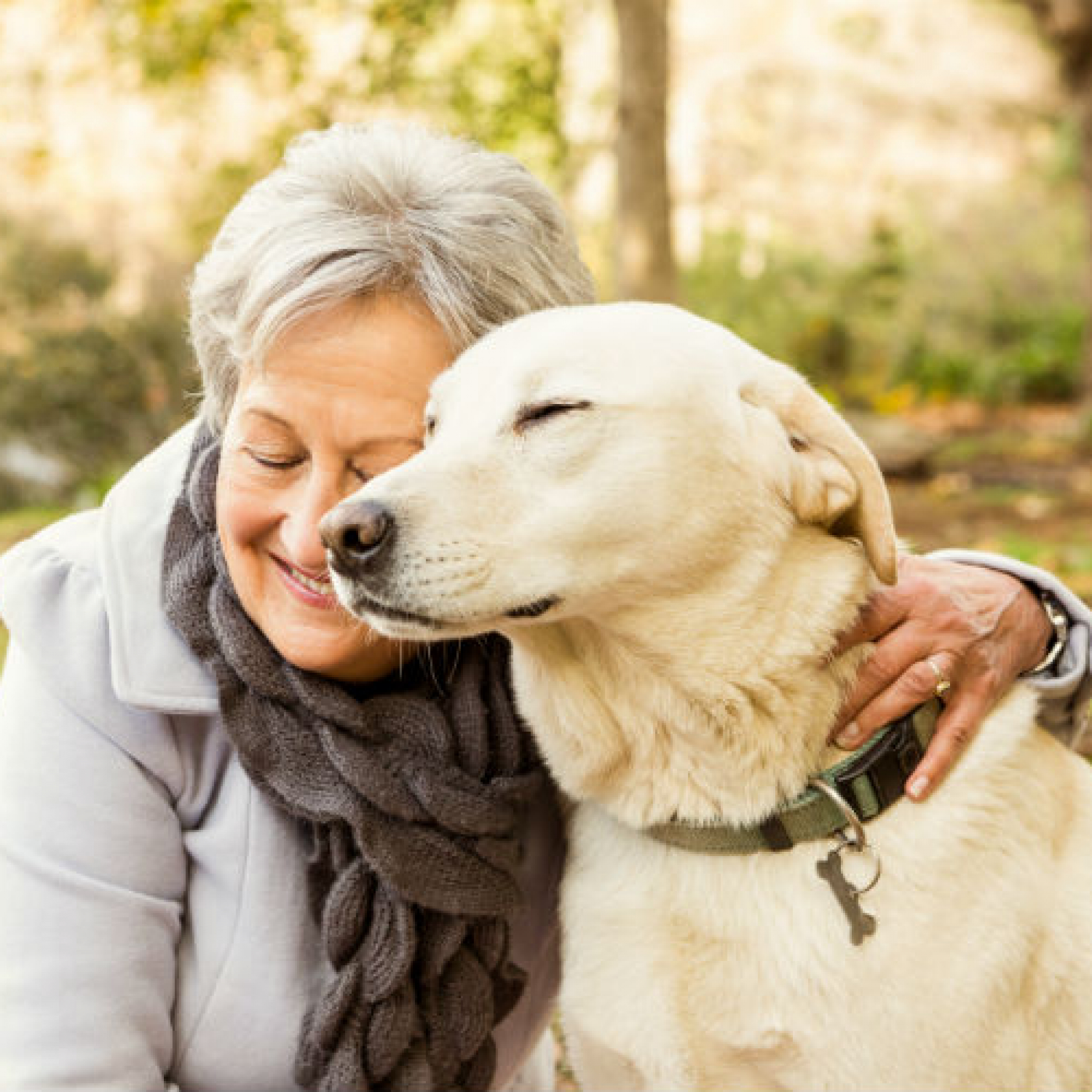 Pets and COVID-19: Experts say vigilance needed but risks small