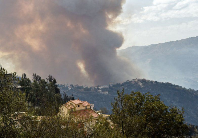 Algeria forest fires: Dozens killed in Kabylie region