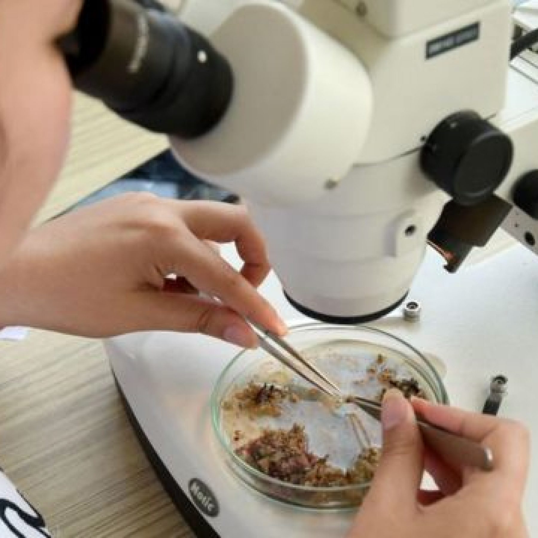 Climate change: Voices from global south muted by climate science