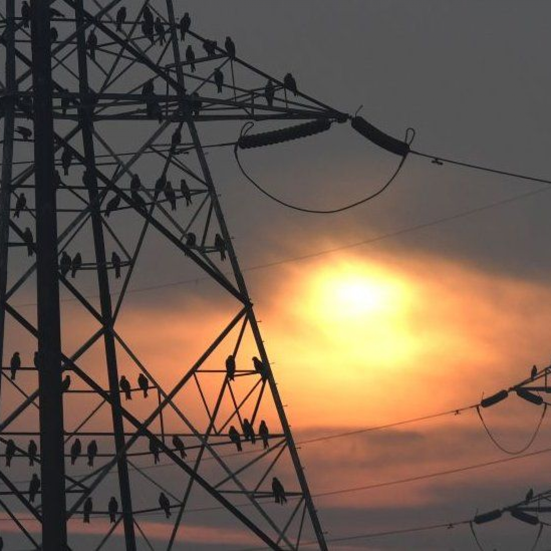 Why India is on the brink of an unprecedented power crisis