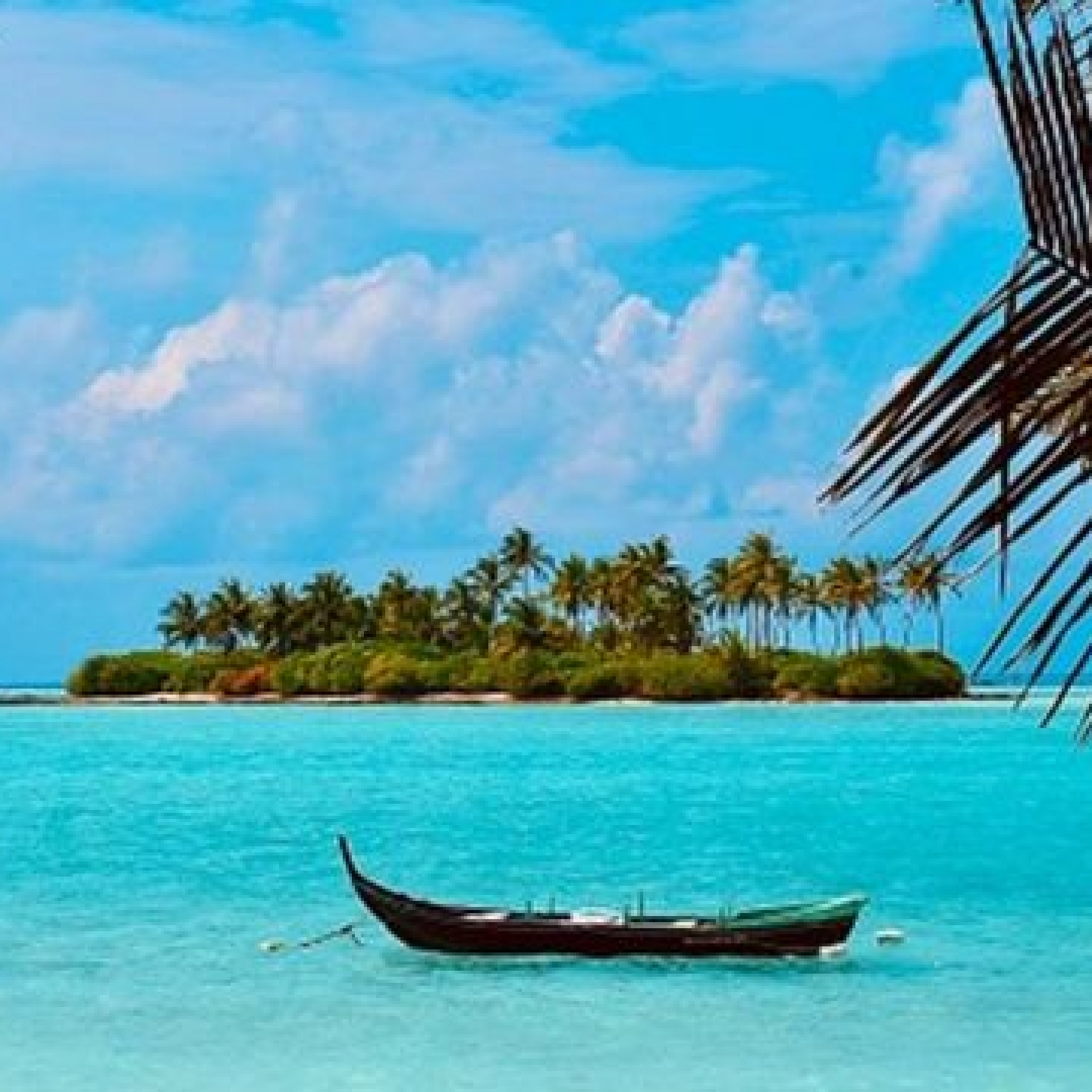 Search interest in Lakshadweep jumped to an all-time high last week