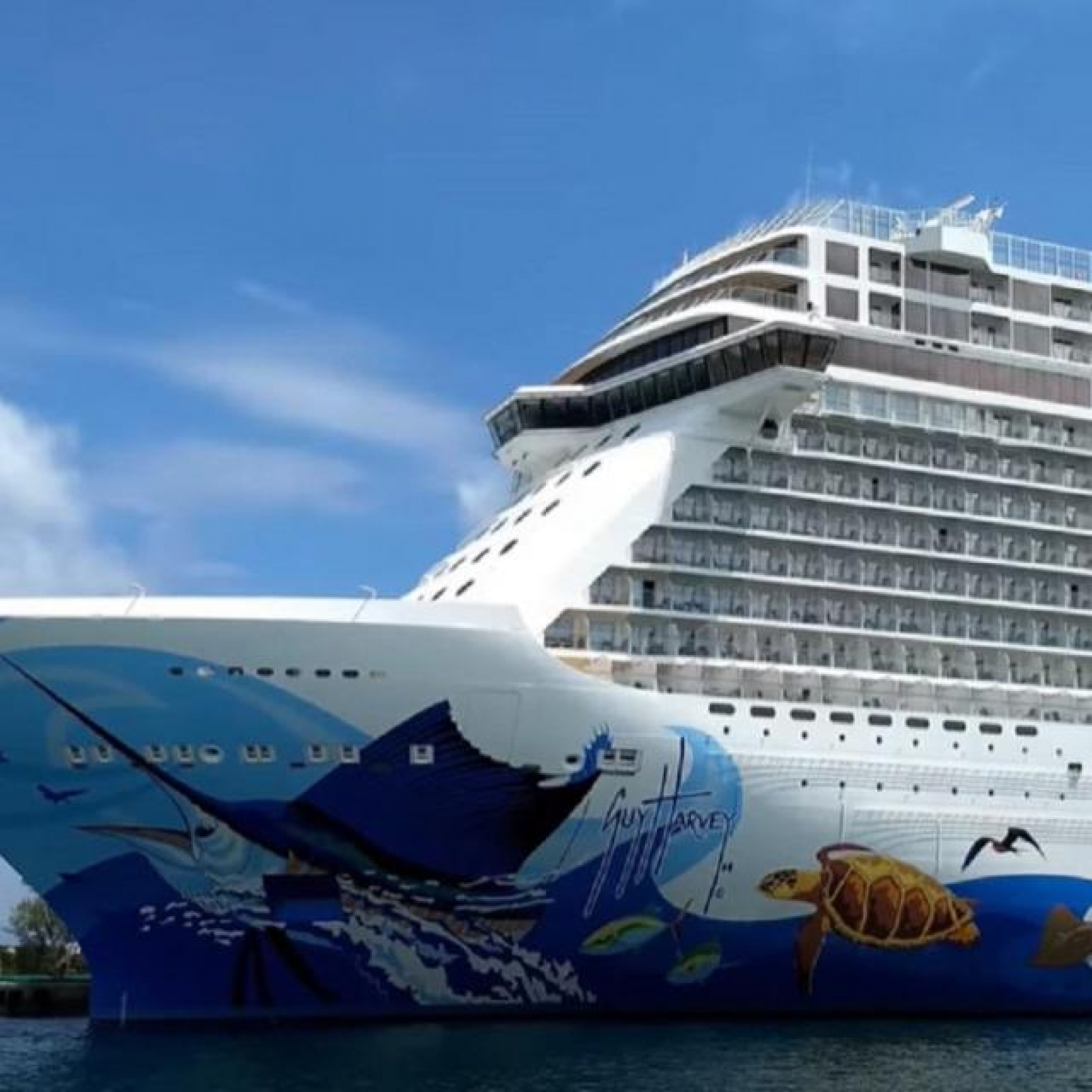 Cruise ship with thousands on board runs aground in Caribbean