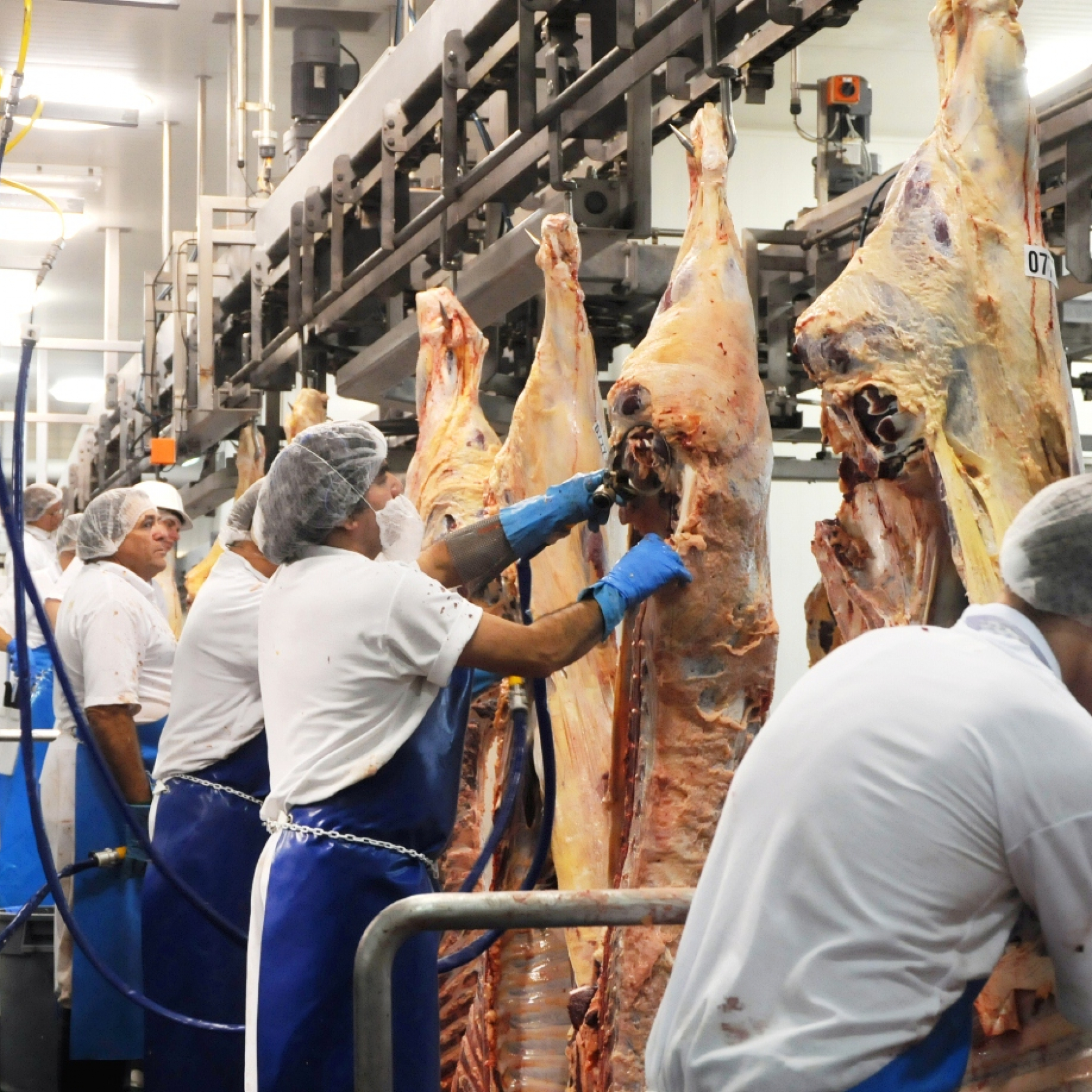 Teys Australia abattoir that told COVID-positive staff to keep working amid outbreak announces temporary shutdown
