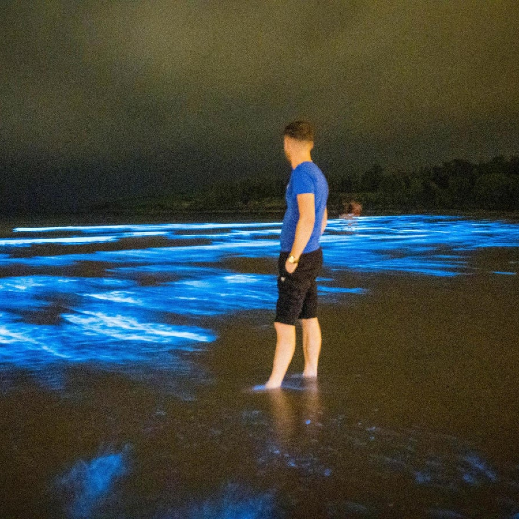 Meet New Zealands bio chasers avid photographers who love taking pictures of glowing waves