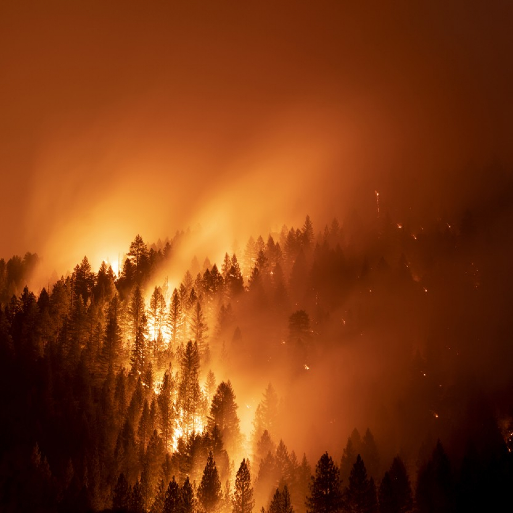 Top climate scientists are sceptical that nations will rein in global warming