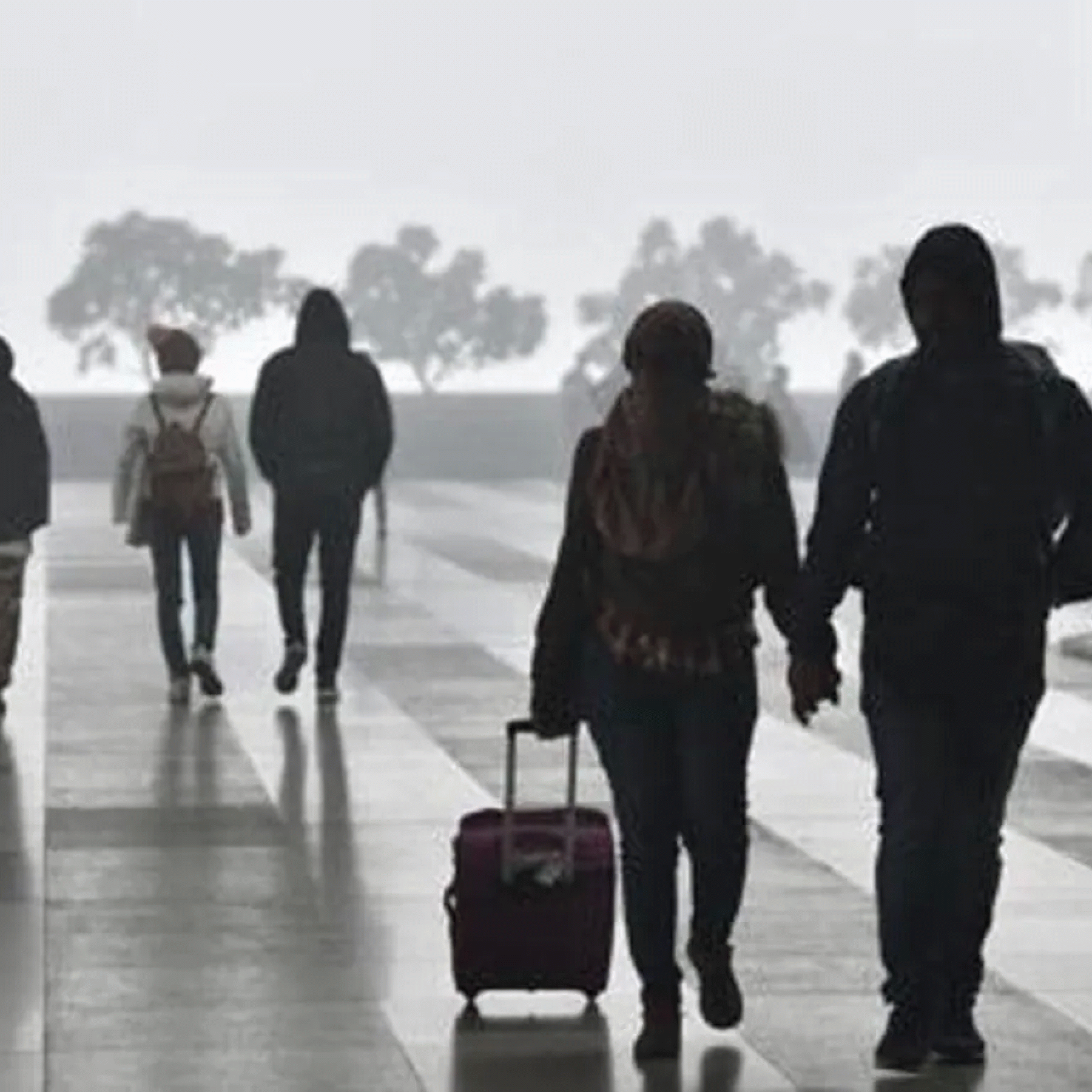 Travellers devastated over French restrictions