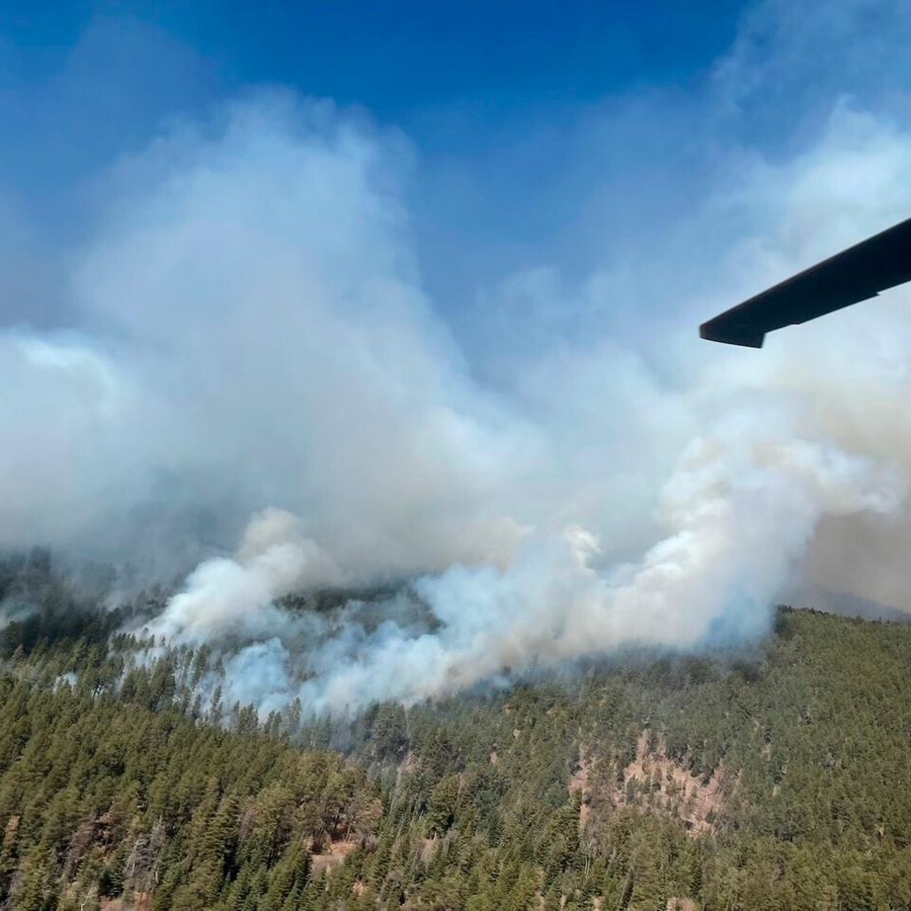 New Mexico wildfire prompts call for US disaster declaration