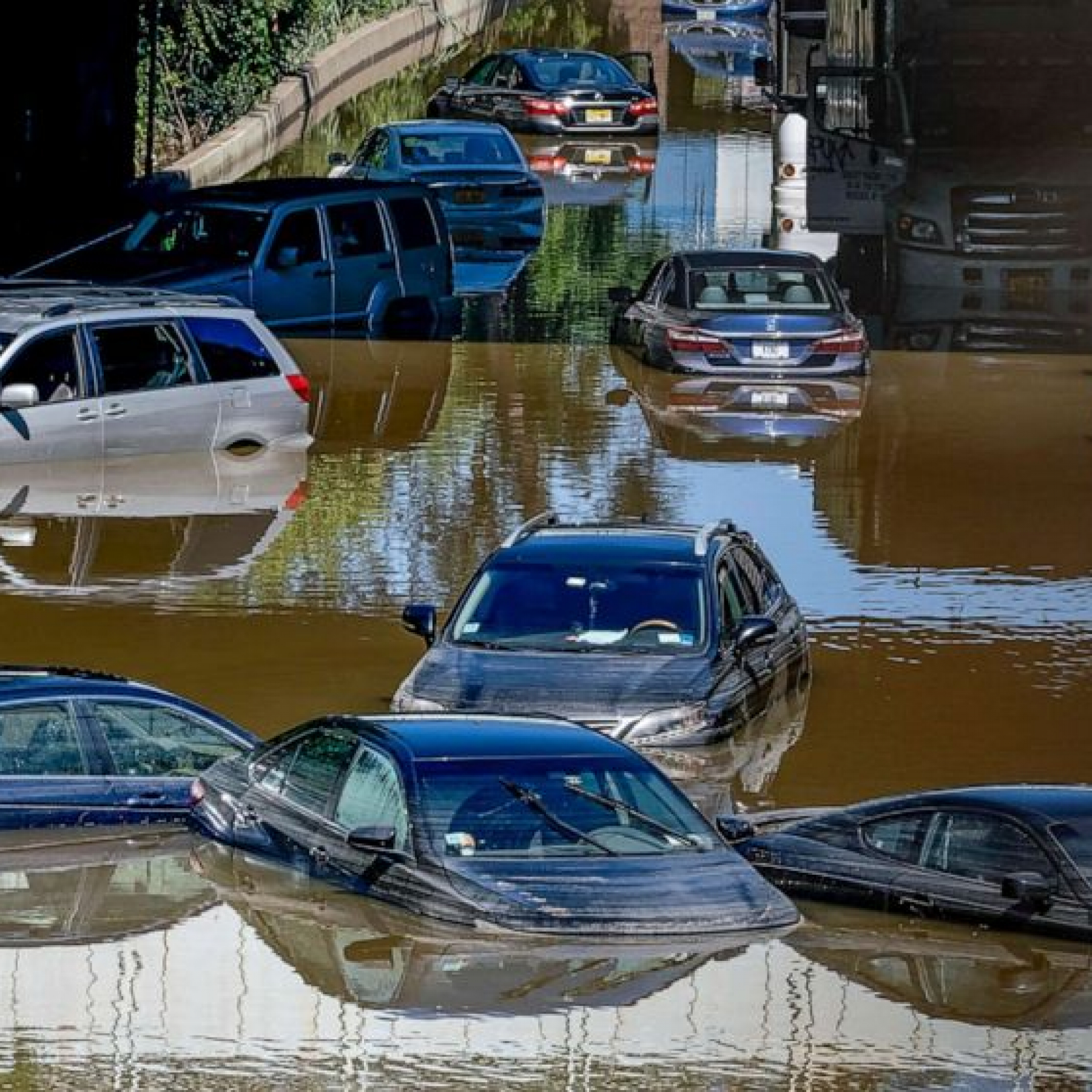 Human-induced climate change may affect 85% of the global population researchers say