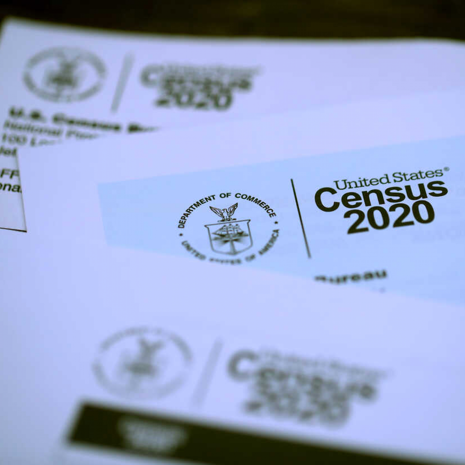 The economic impacts of a Census miscount