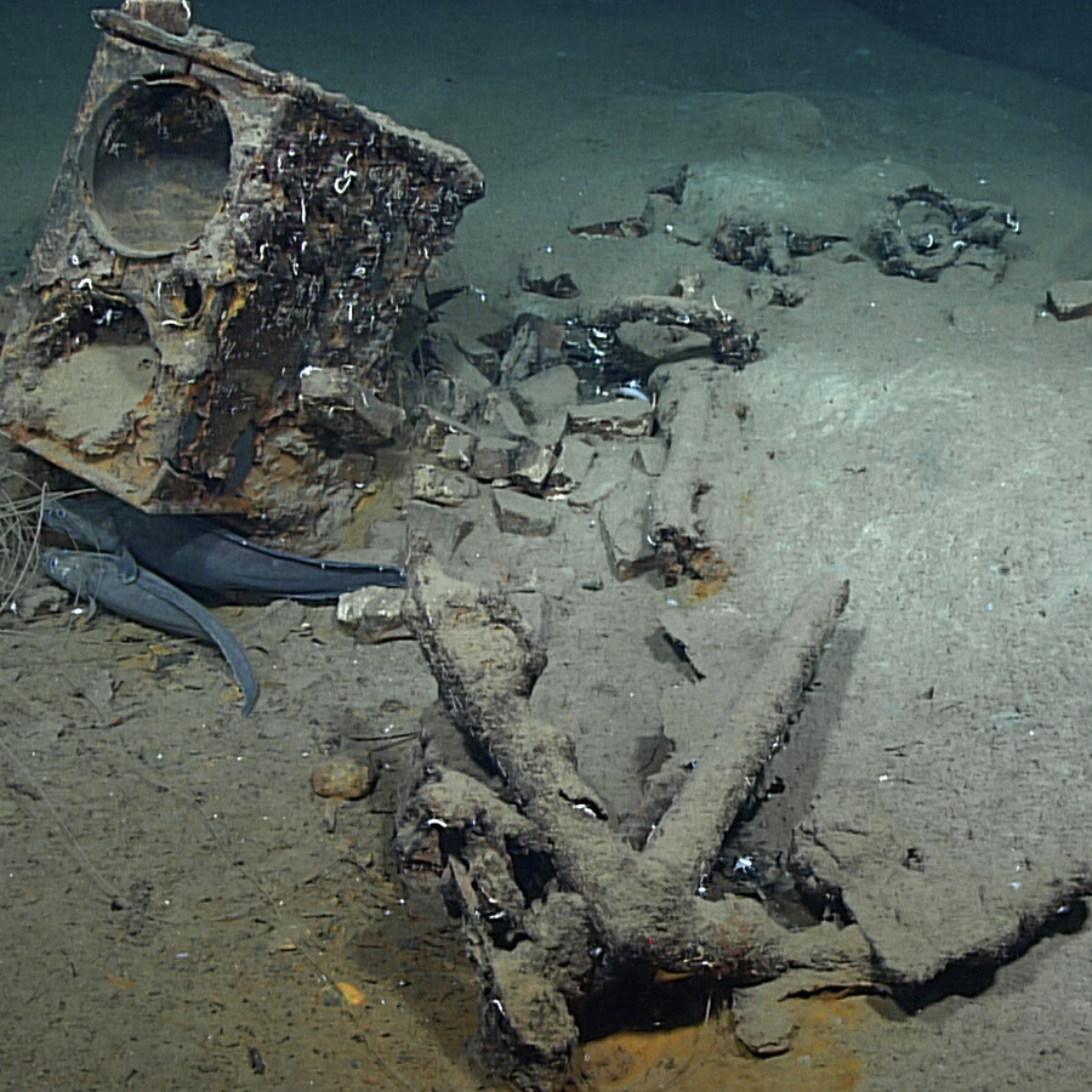 207-year-old whaling ship discovered in the Gulf of Mexico