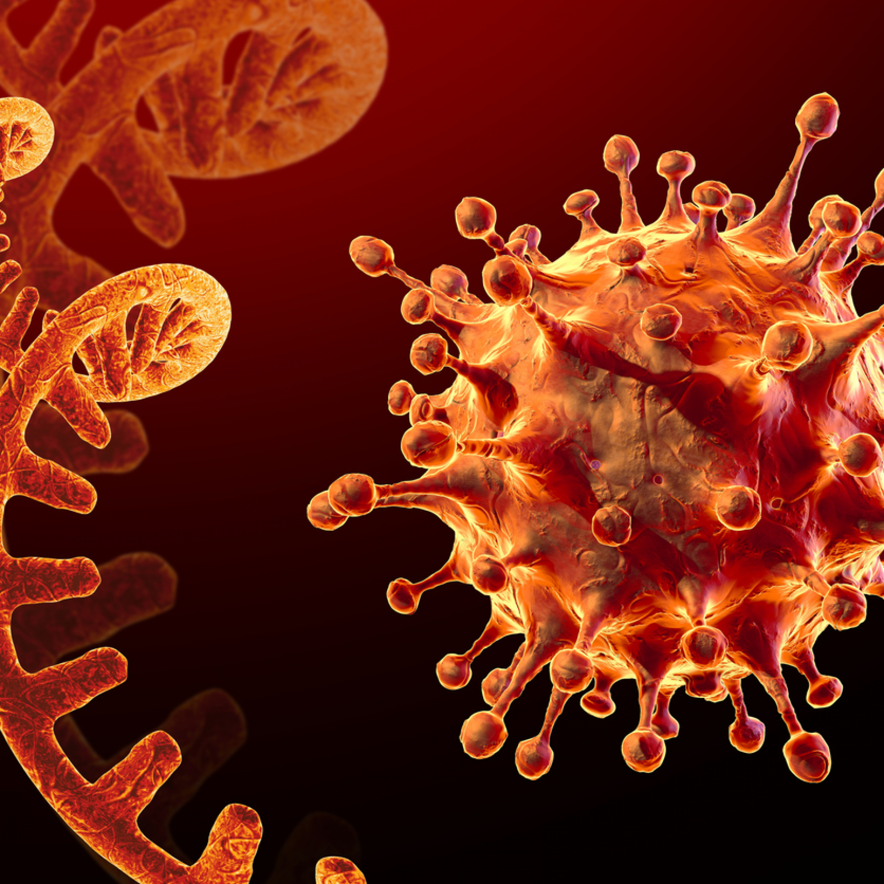 Contagious subvariant of Covid-19 Omicron strain detected in Russia