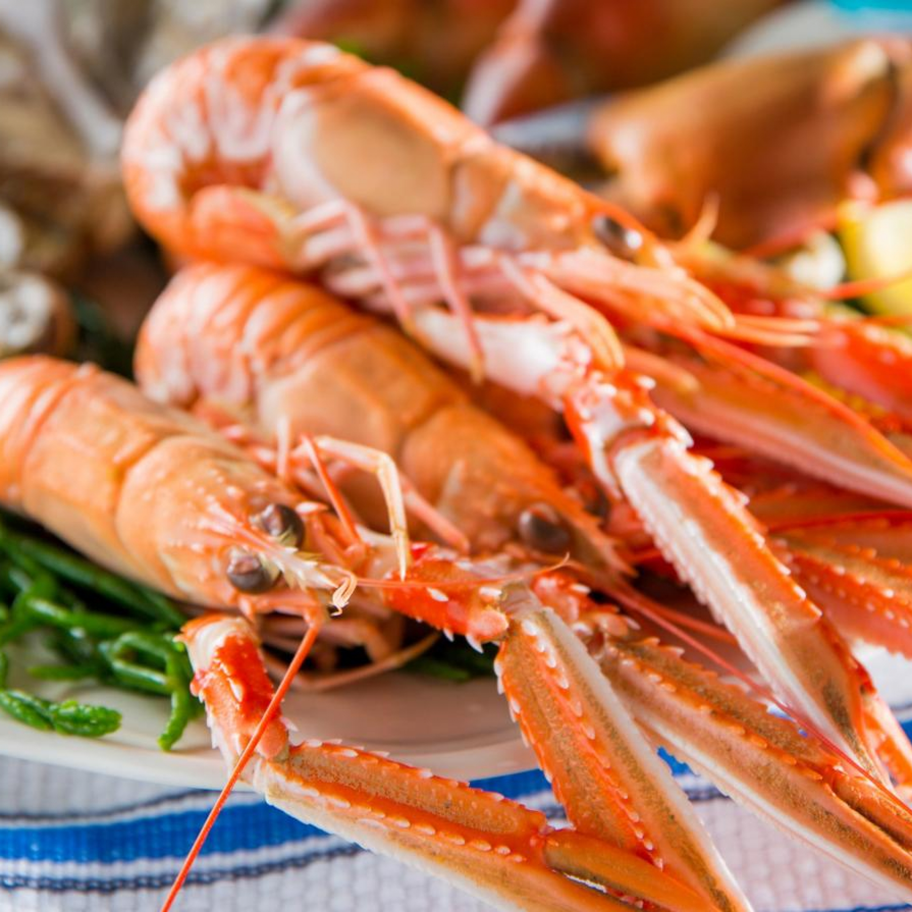 Welsh Seafood Cluster on display at Seafood Expo Global 2022 in Barcelona