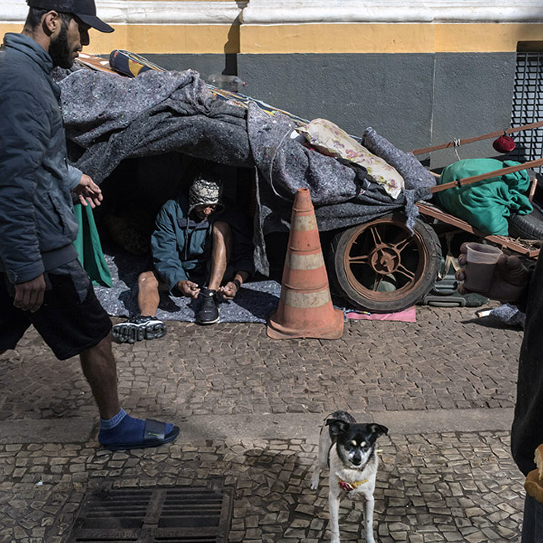 Worlds Growth Cools and the Rich-Poor Divide Widens