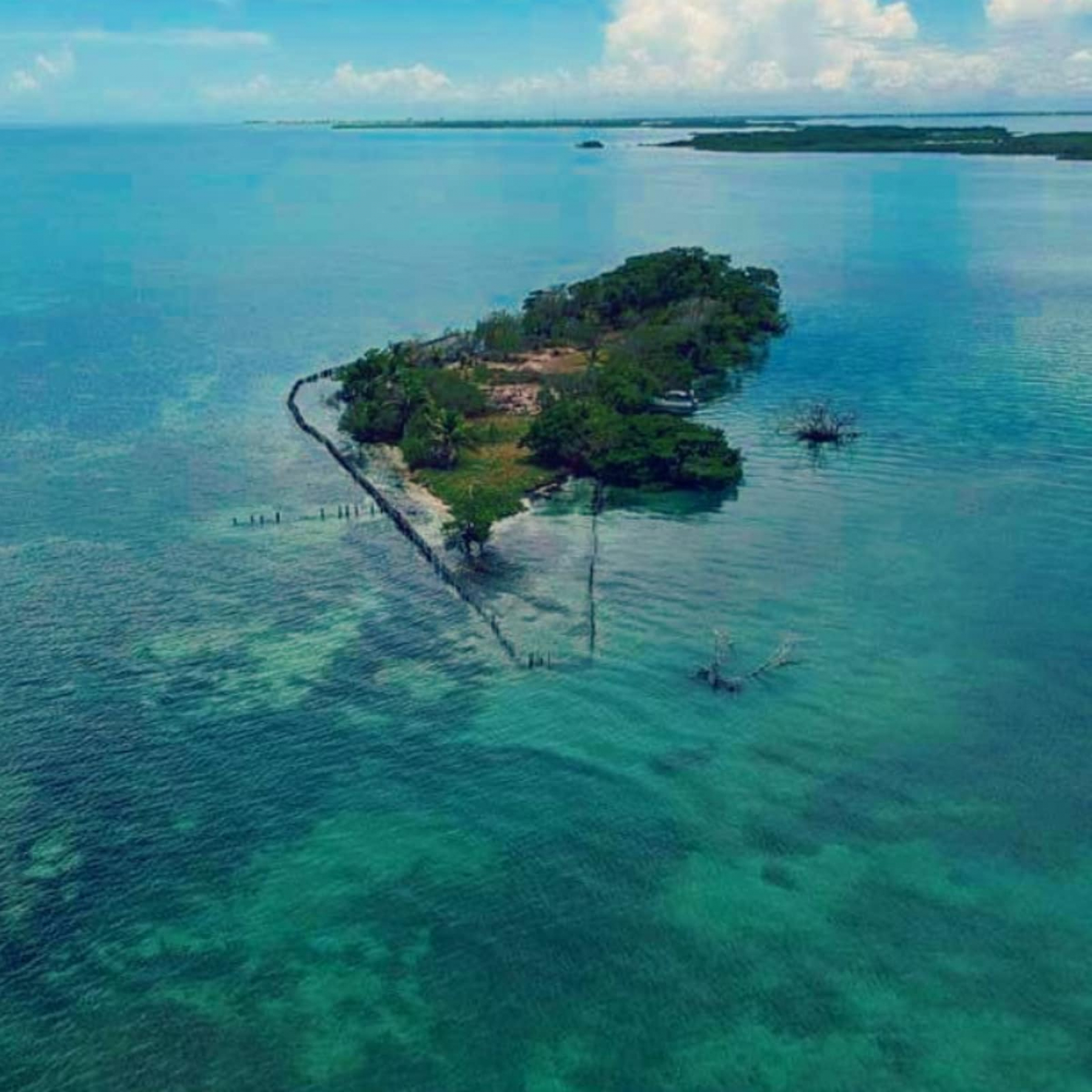Coffee Caye: Investors buy the Caribbean island to start their own country
