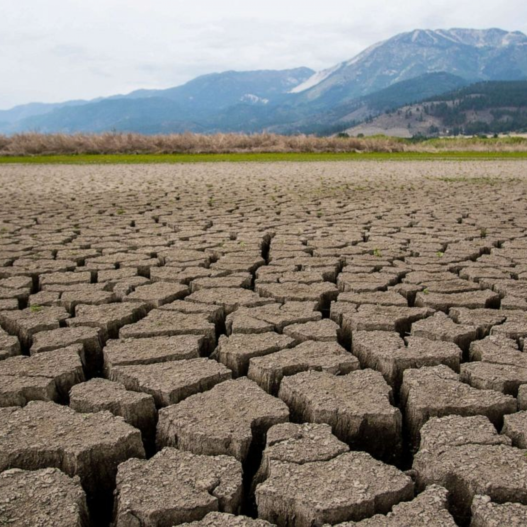 California cracks down on water use as it sees its most severe drought ever