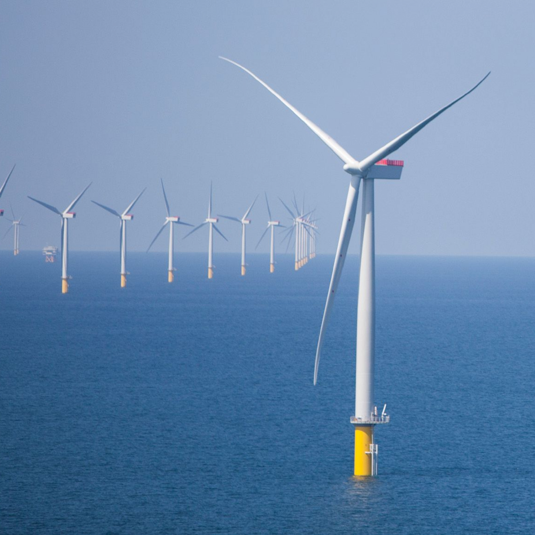 Will ScotWind auction deliver a renewables revolution