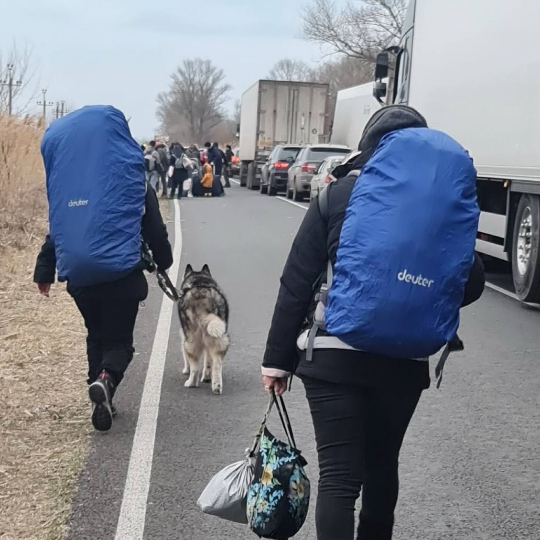 In response to the war Americans flee Russia in droves